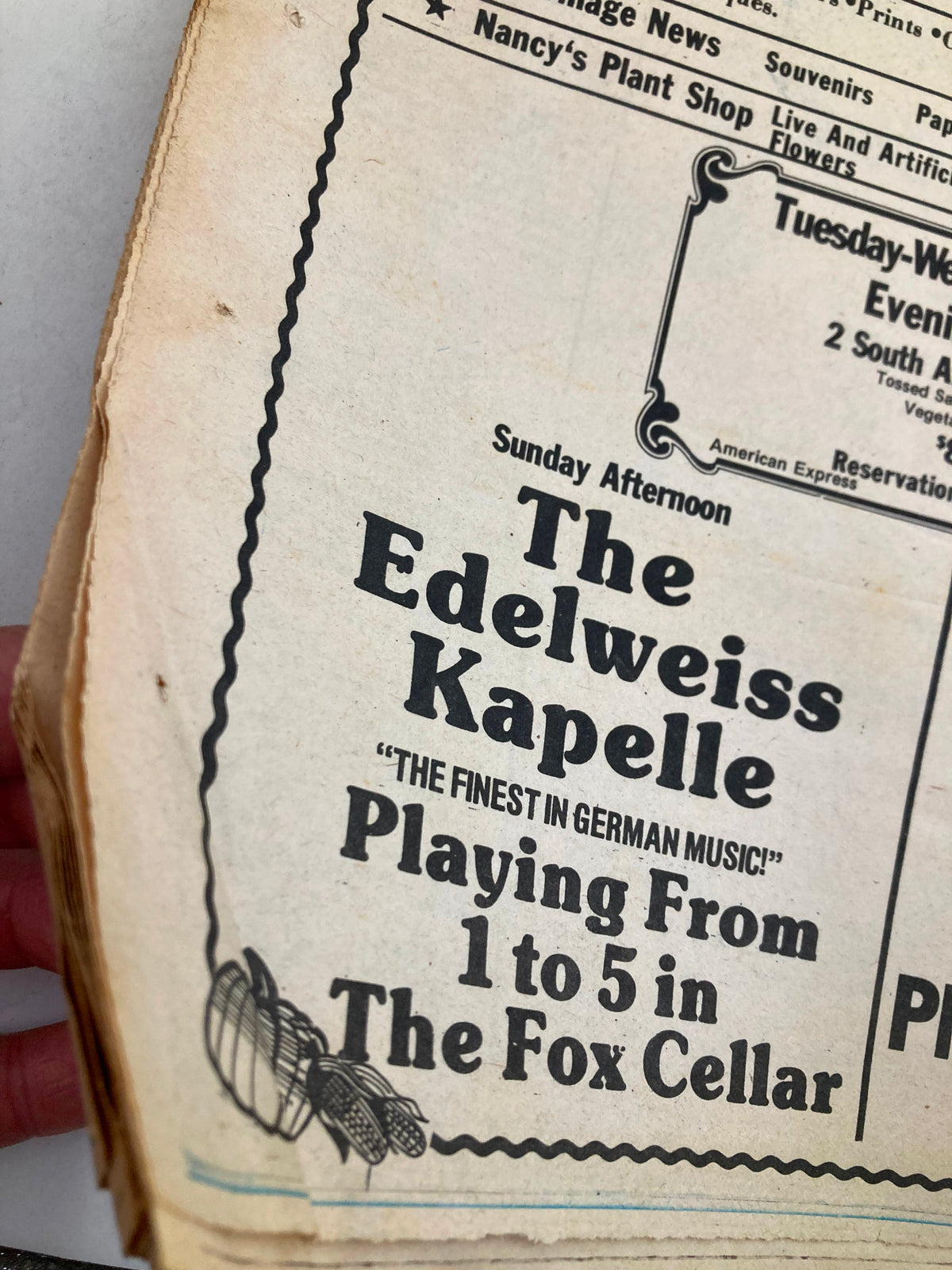 Close-up view of a segment from The Guardian Newspaper November 13, 1980, featuring an advertisement for The Edelweiss Kapelle, describing it as 'The Finest in German Music'.
