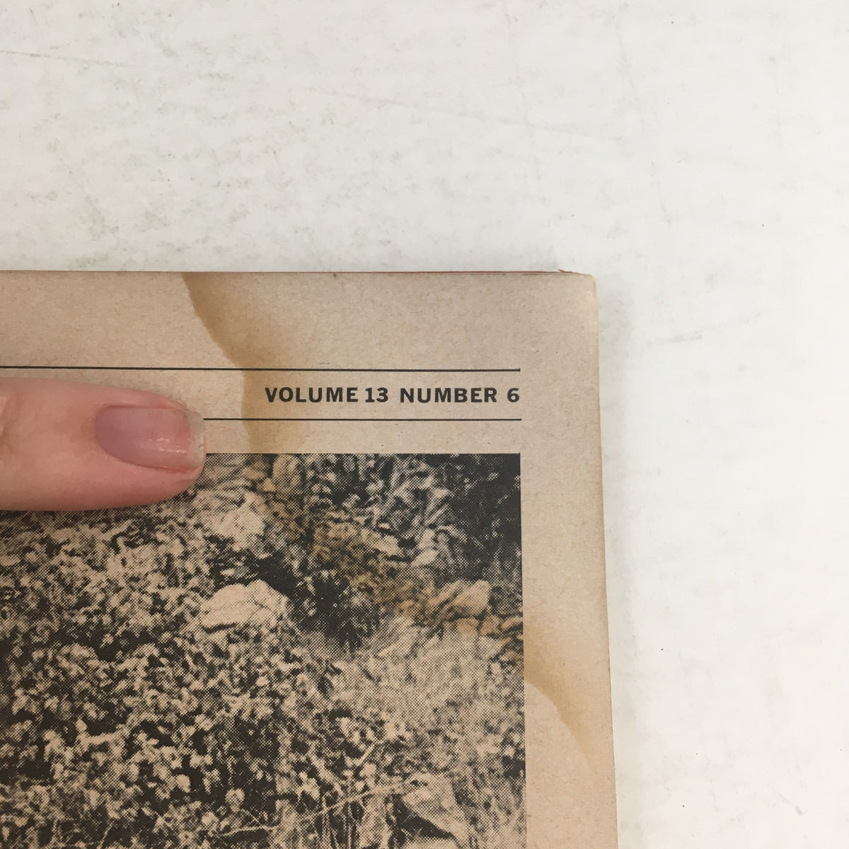 Highlighted section showing 'Volume 13 Number 6' on the December 1967 issue of Road & Track Magazine.