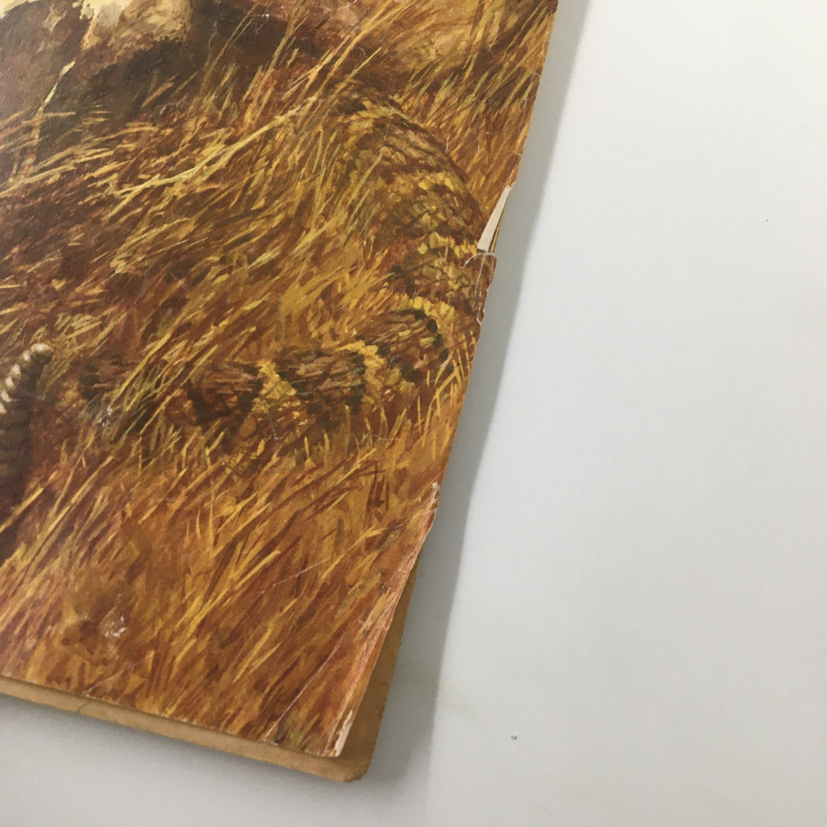Side view of the cover of VTG Old West Magazine Winter 1965, showcasing the vintage design and aged condition of the magazine.