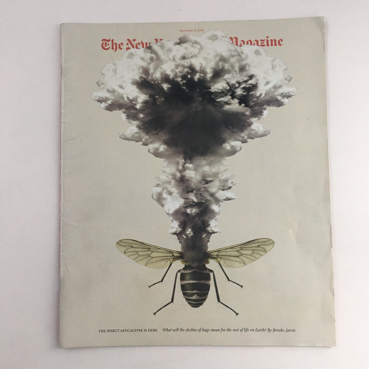 The New York Times Magazine December 2 2018 The Insect Apocalypse, No Label VG