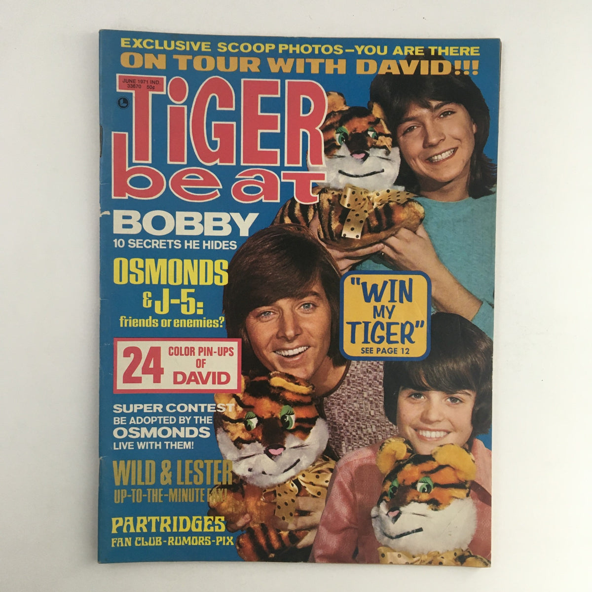 Cover of Tiger Beat Magazine from June 1971 featuring David Cassidy and Bobby Sherman, showcasing vibrant colorful graphics and highlights about teen idols, pop culture, and exclusive content.