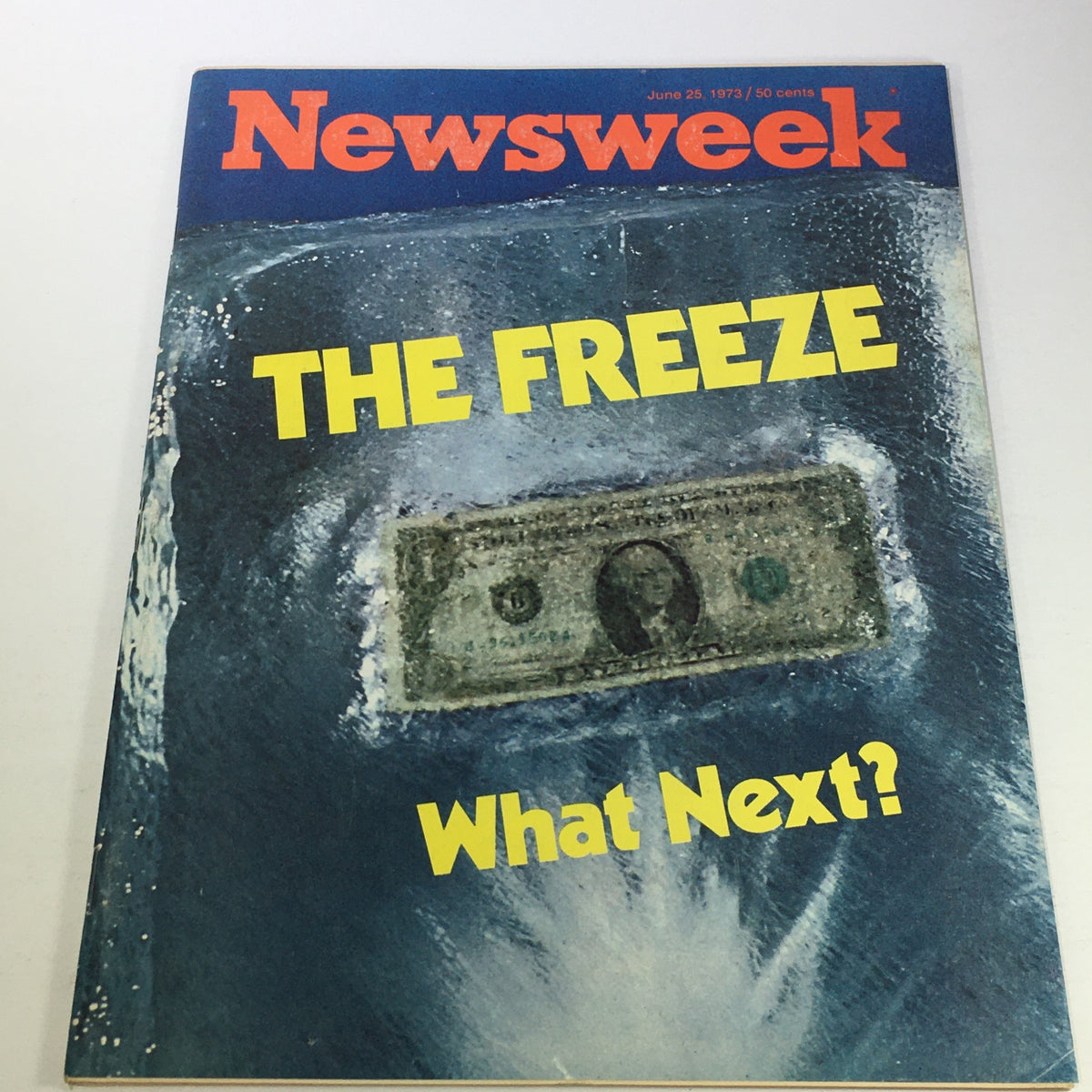 VTG Newsweek Magazine June 25 1973 cover featuring the title 'The Freeze' with a dollar bill graphic, representing significant historical context and events of the early 1970s.