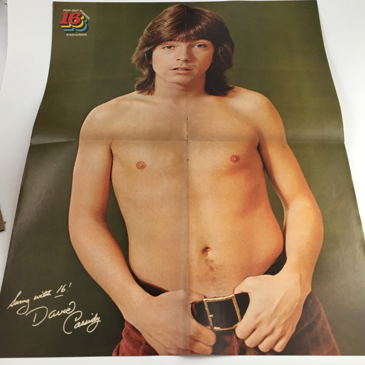 A large, color pop-out poster of David Cassidy included in the June 1971 issue of 16 Magazine, showcasing his image without a shirt.
