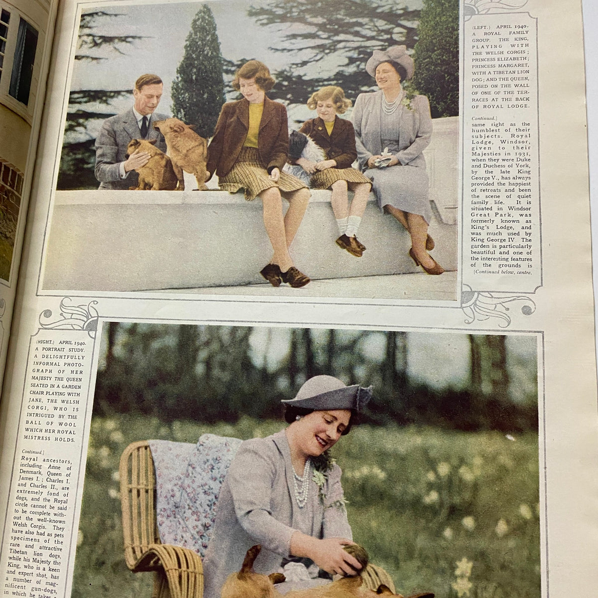 The Illustrated London News May 1 1948 capturing a royal family gathering in April 1940 with the Queen and her children enjoying a moment with their dogs at Royal Lodge.