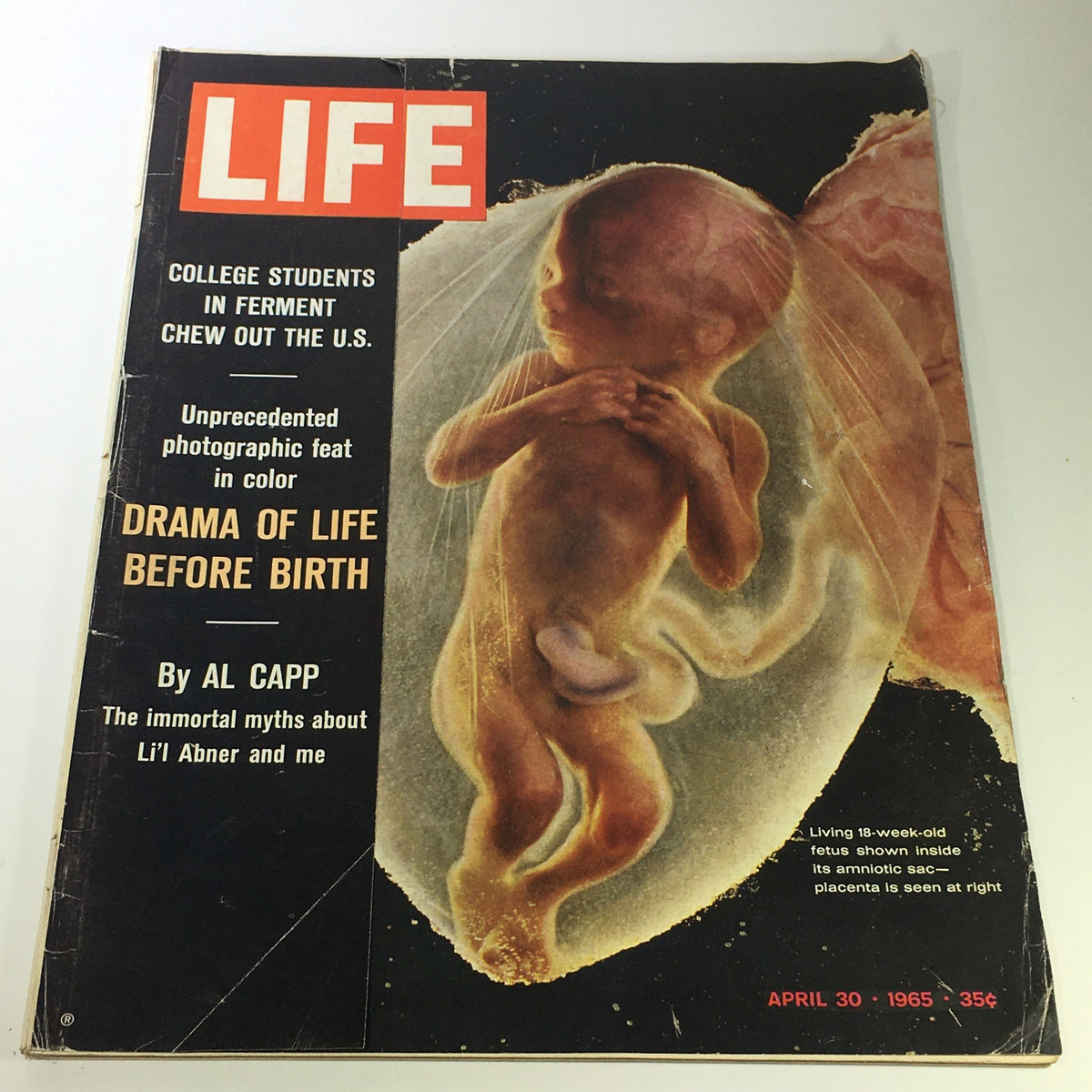 Cover of VTG Life Magazine from April 30, 1965, featuring an artistic representation of a fetus in the womb with the title 'Immortal Myths About Li'l Abner & Me' by Al Capp.
