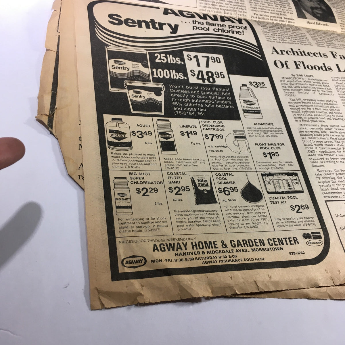 VTG The Daily Record Newspaper August 9 1974 featuring an advertisement for Sentry pool chlorine, highlighting product prices and details.