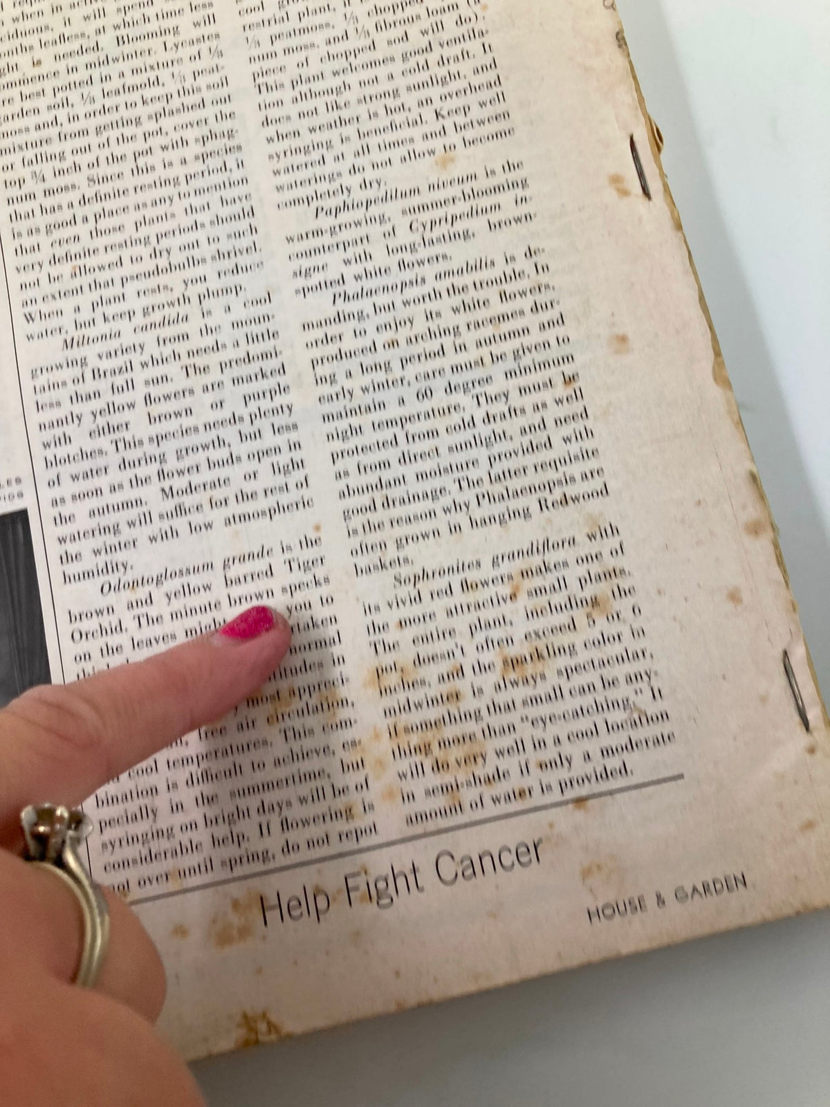Close-up of an article in VTG House & Garden Magazine November 1965 'How To Give Dashing Parties', focusing on orchid care with highlighted text and a vintage aesthetic.