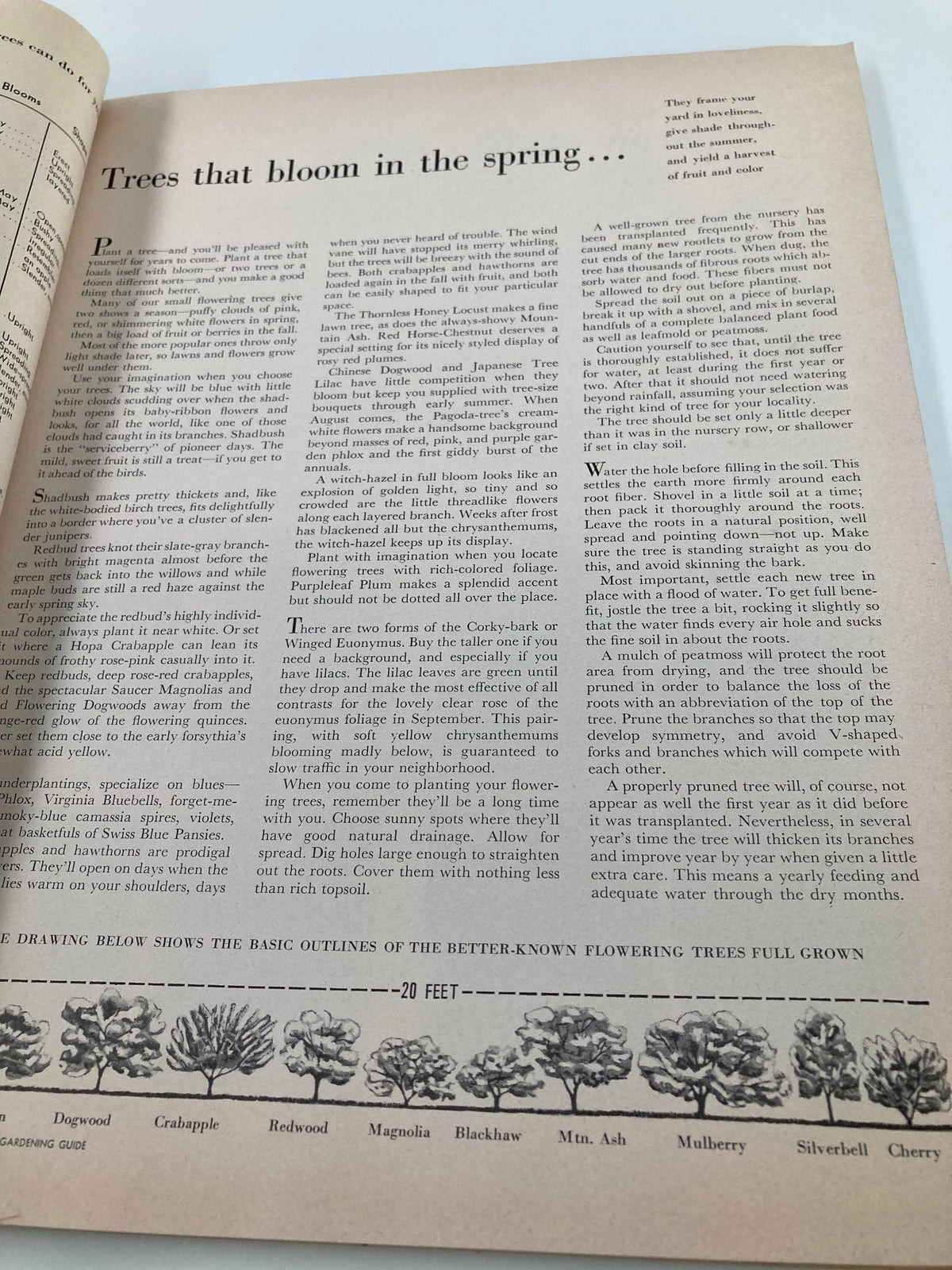 Text on trees that bloom in spring from VTG Better Homes & Gardens Gardening Guide 1951 with advice on selecting flowering trees.