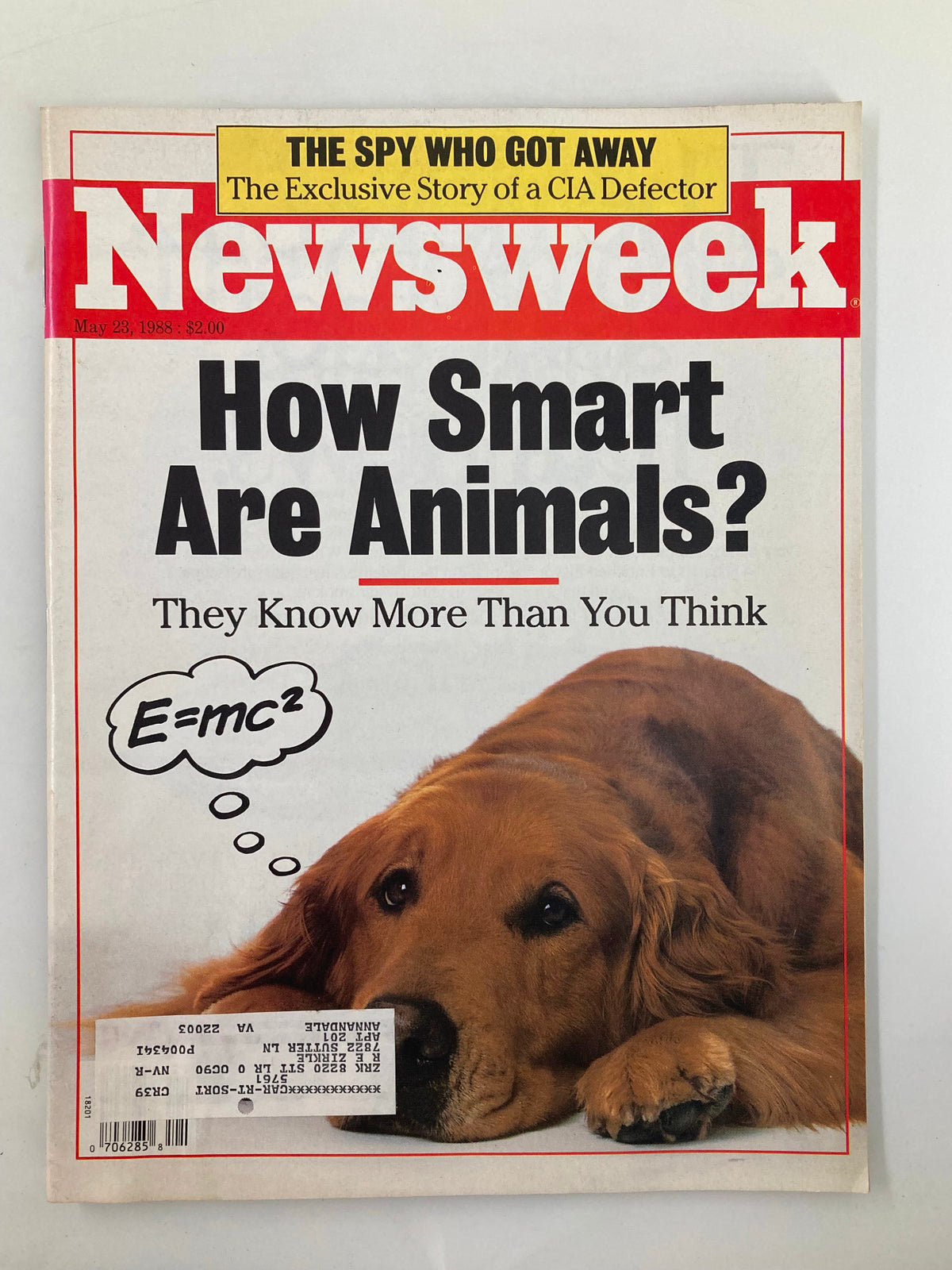 Vintage Newsweek Magazine cover from May 23, 1988, featuring the title 'How Smart Are Animals?' with an image of a Golden Retriever and a teaser for 'The Spy Who Got Away'.