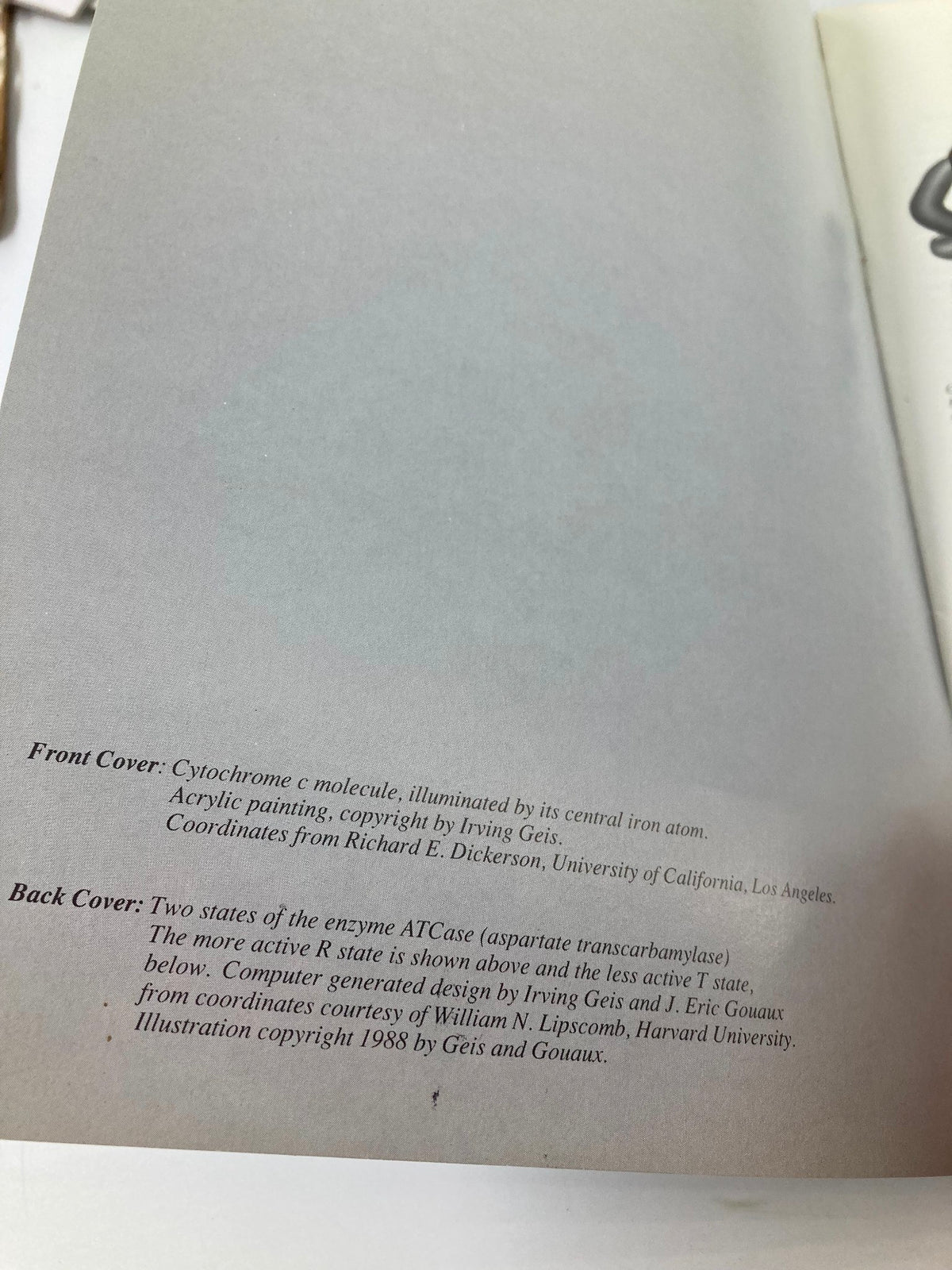 Text page from 'Design of Life: An Exhibit of Molecular Structure' providing information about the artwork and illustrations in the exhibit.