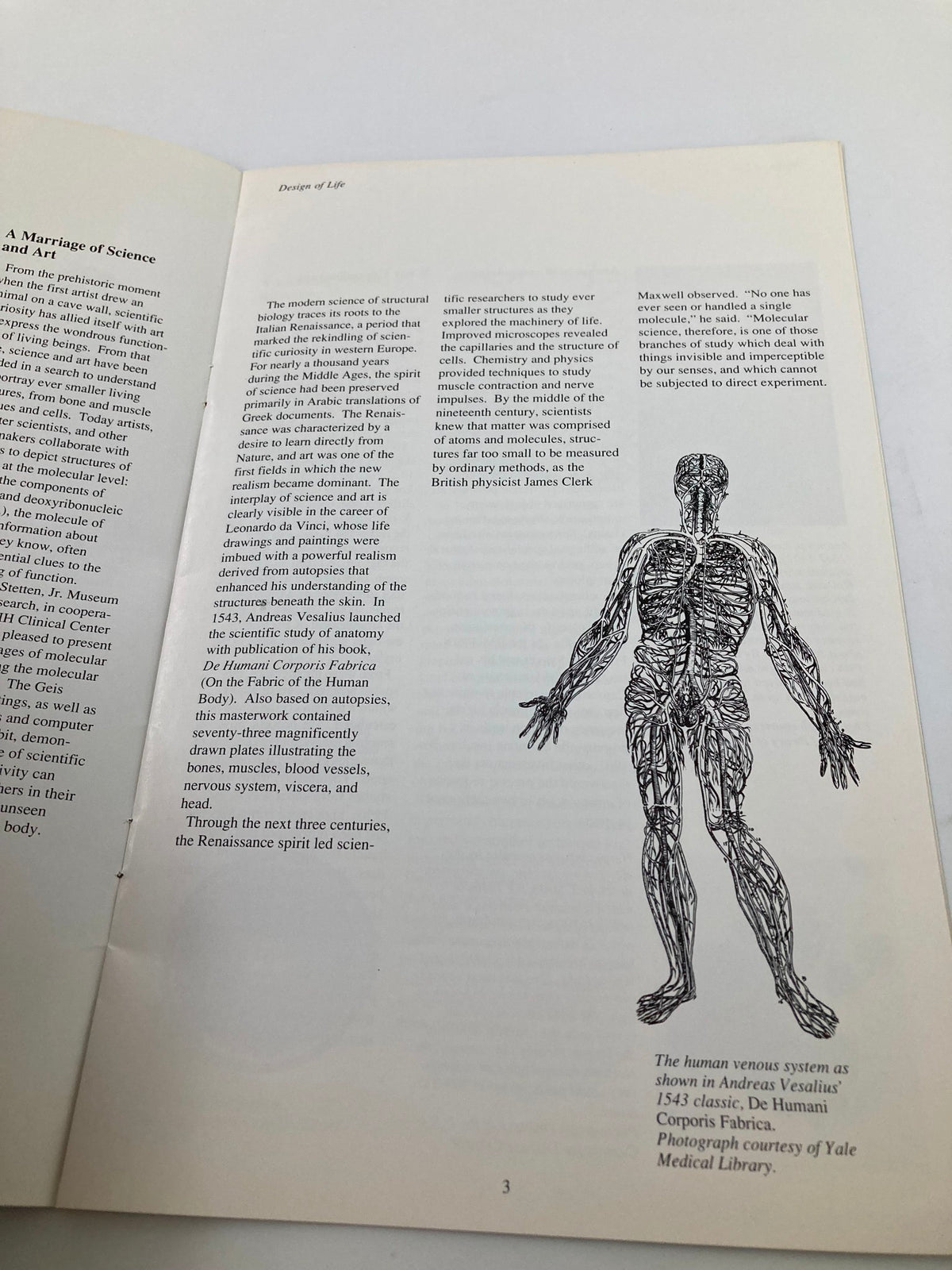 Page three of 'Design of Life: An Exhibit of Molecular Structure', discussing the human anatomy in relation to the exhibit.
