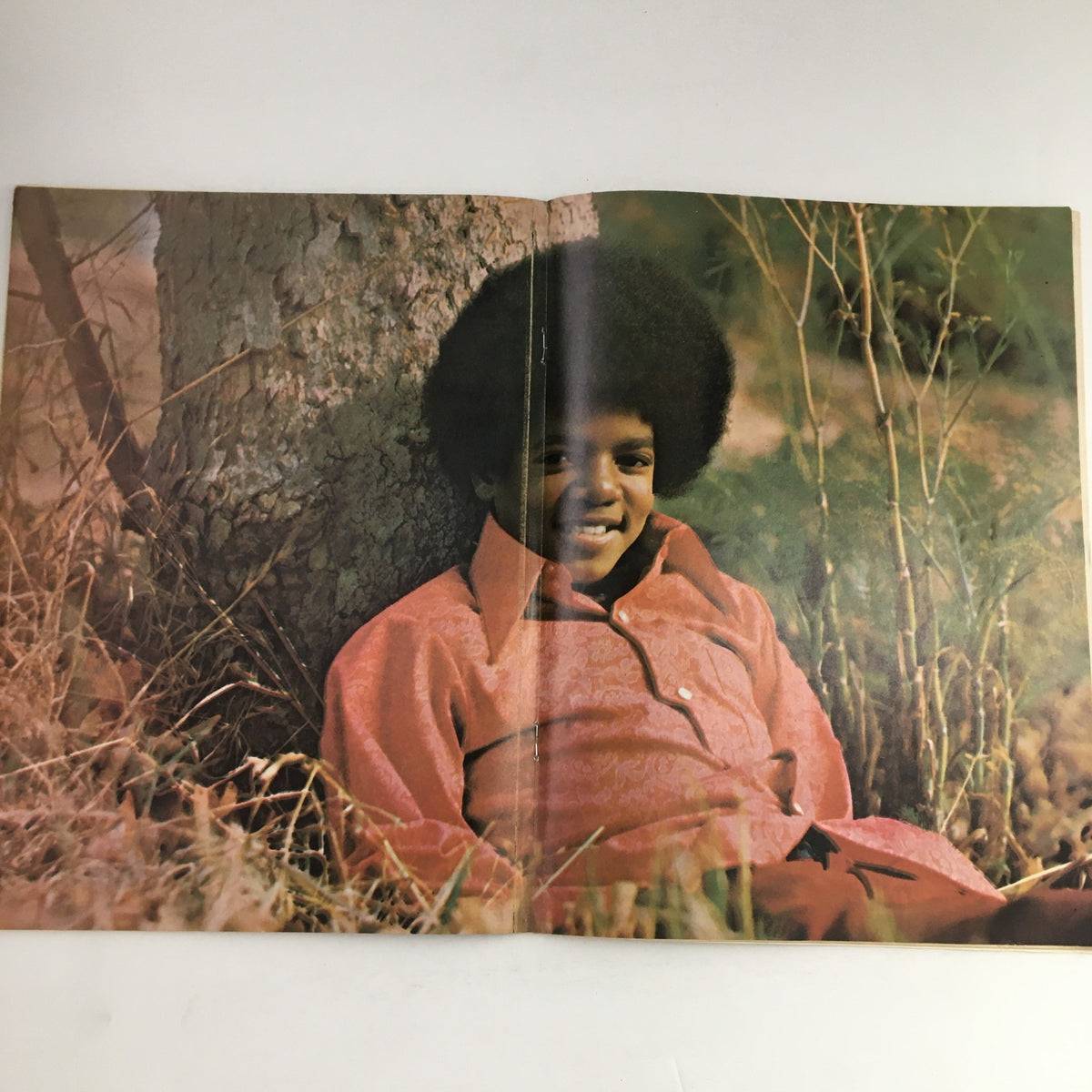 Hit Parader Magazine February 1973 cover featuring a young Michael Jackson, capturing the essence of the early 1970s music scene.