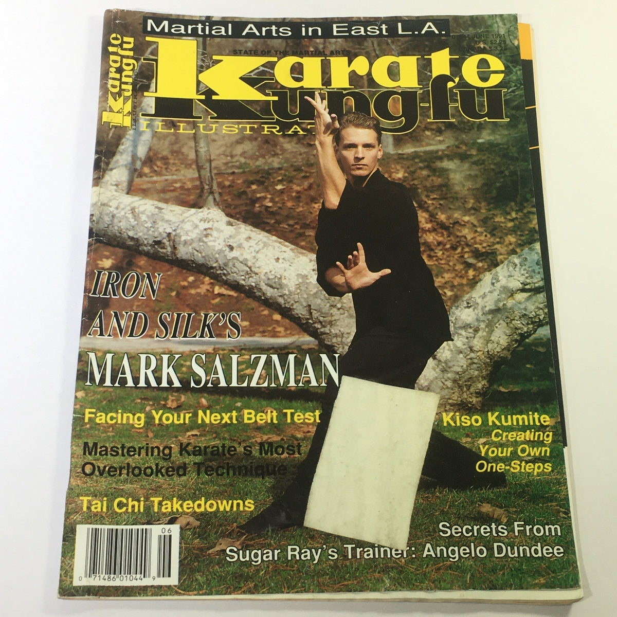 Cover of Karate Kung Fu Illustrated Magazine from June 1991 featuring an article by Mark Salzman, showcasing martial arts techniques and philosophy.