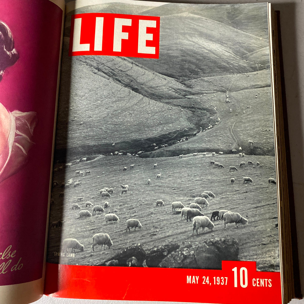 Cover of VTG 1937 Bound Life Magazine for May 24, 1937 featuring a scenic photograph of sheep grazing on a hillside, highlighting the theme 'Spring Lamb'.