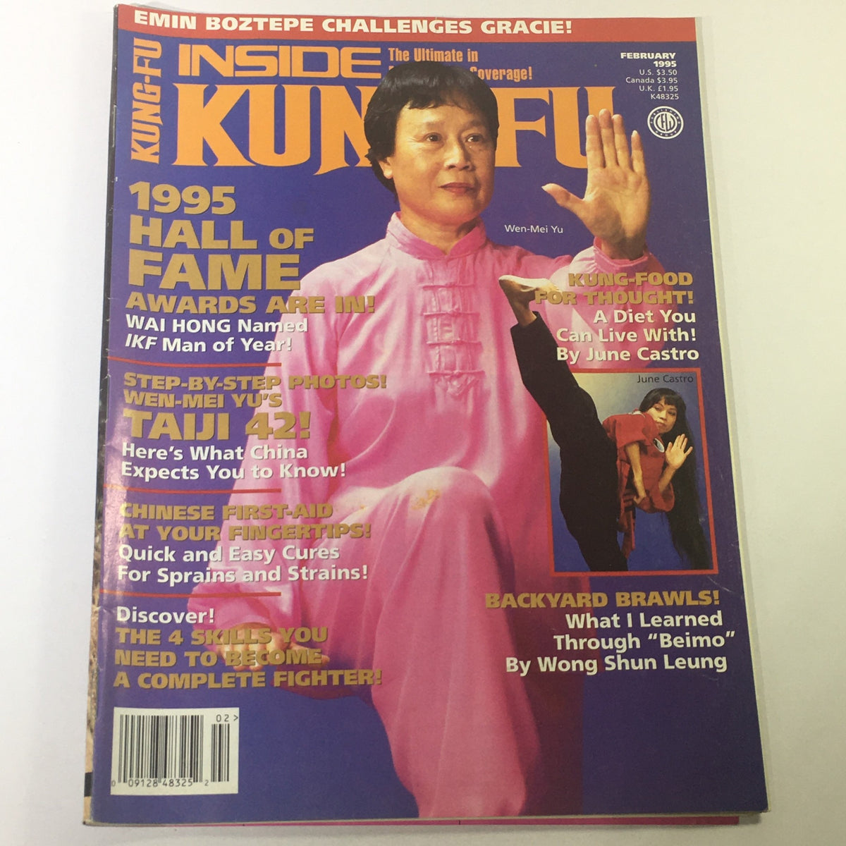 Cover of Inside Kung Fu Magazine February 1995 featuring Wen-Mei Yu, June Castro, and Wong Shun L. Highlights include '1995 Hall of Fame', 'Step-by-Step Photos', and 'Kung-Food for Thought'. The magazine explores martial arts training and philosophy in the 1990s.