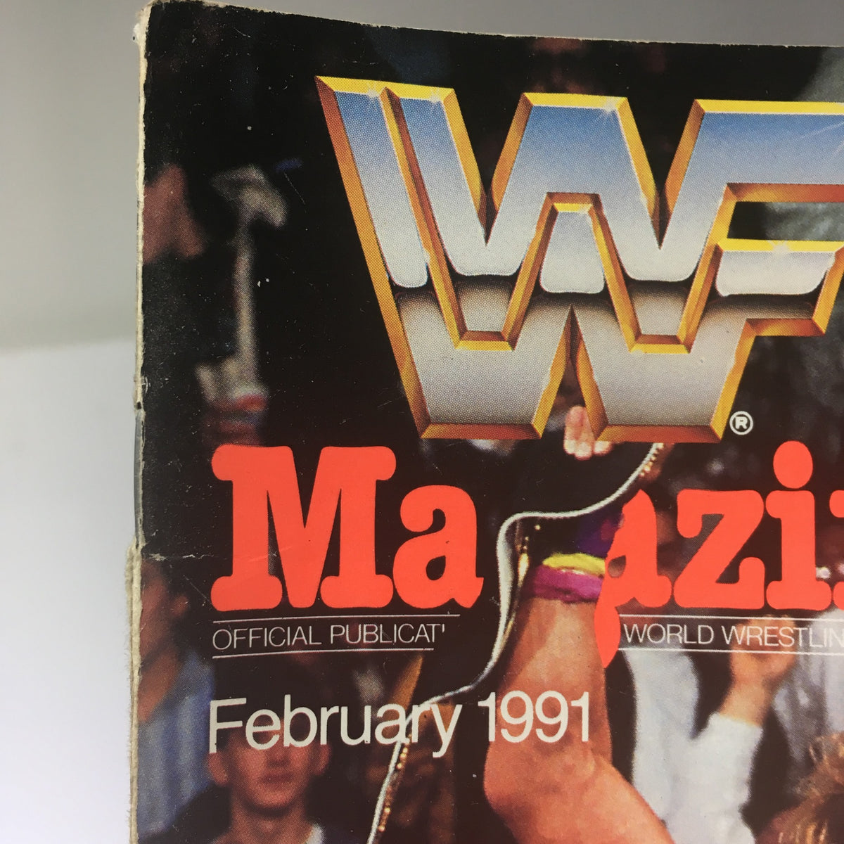 Close-up of WWF Magazine February 1991 title featuring the logo, showcasing the magazine's branding and nostalgic value for wrestling fans.