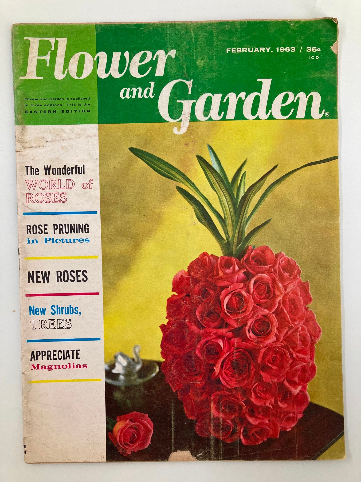 Vintage Flower & Garden Magazine Feb 1963