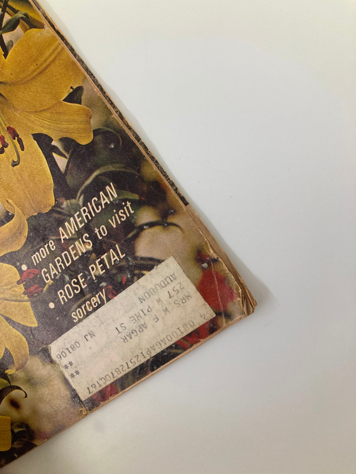 Detail of the bottom section of VTG Flower and Garden Magazine July 1967 cover highlighting additional text about gardens and roses.
