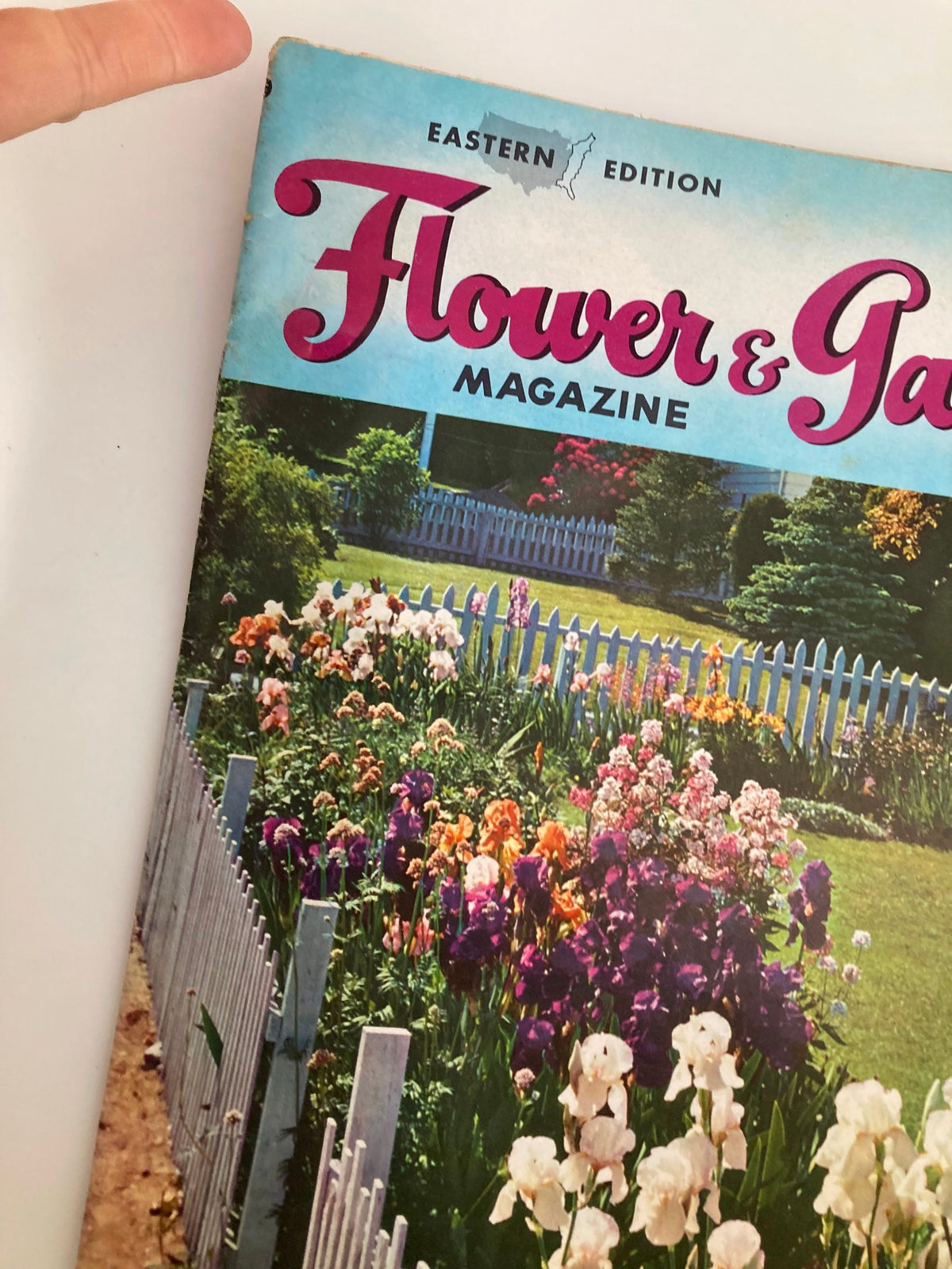 Close-up view of the cover of the VTG Flower and Garden Magazine June 1959, highlighting the magazine's title and colorful iris flowers in a picturesque garden setting.