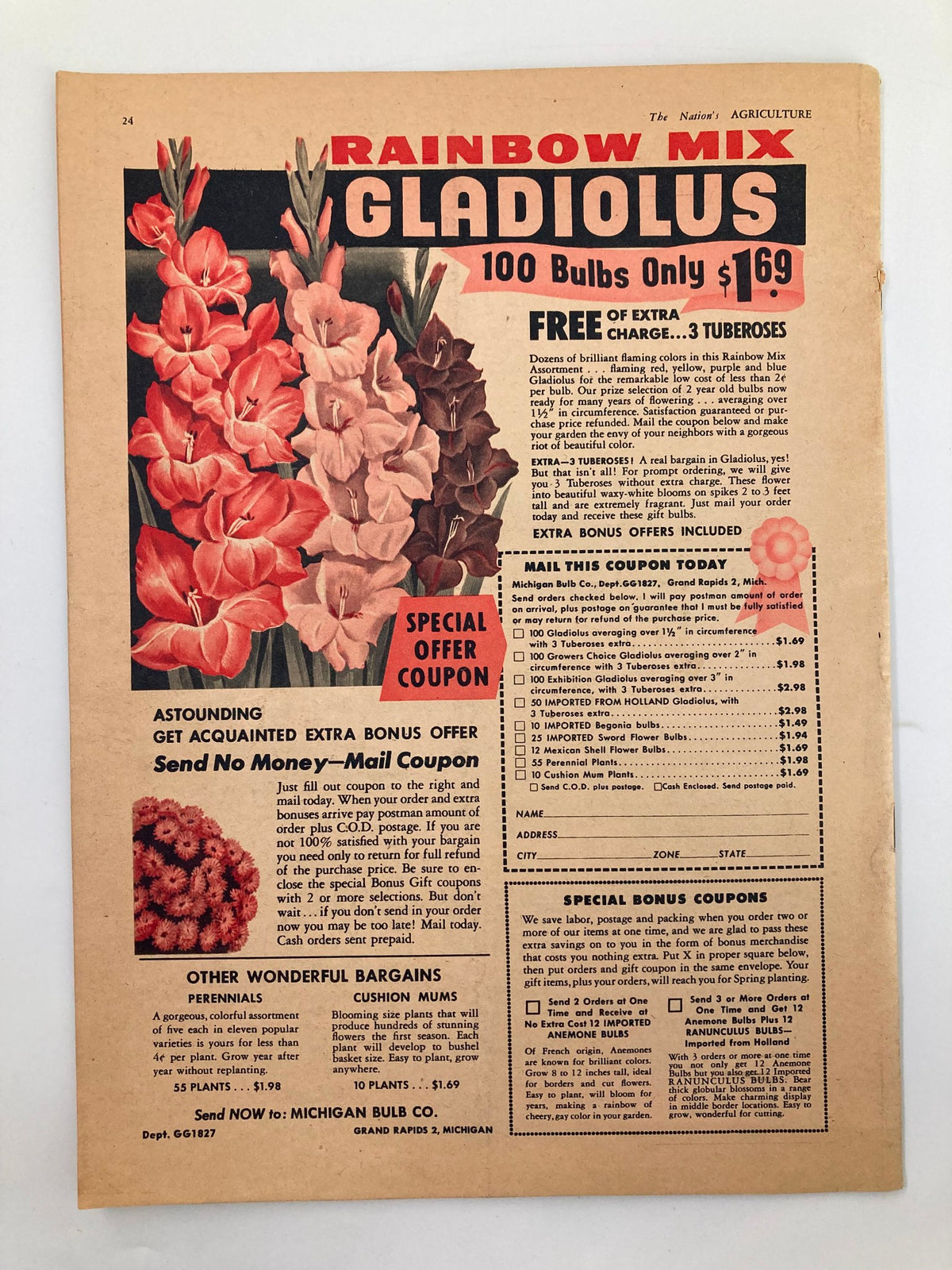 VTG The Nation's Agriculture Magazine February 1951 page offering Rainbow Mix Gladiolus bulbs for sale, featuring colorful flower images and purchase information.