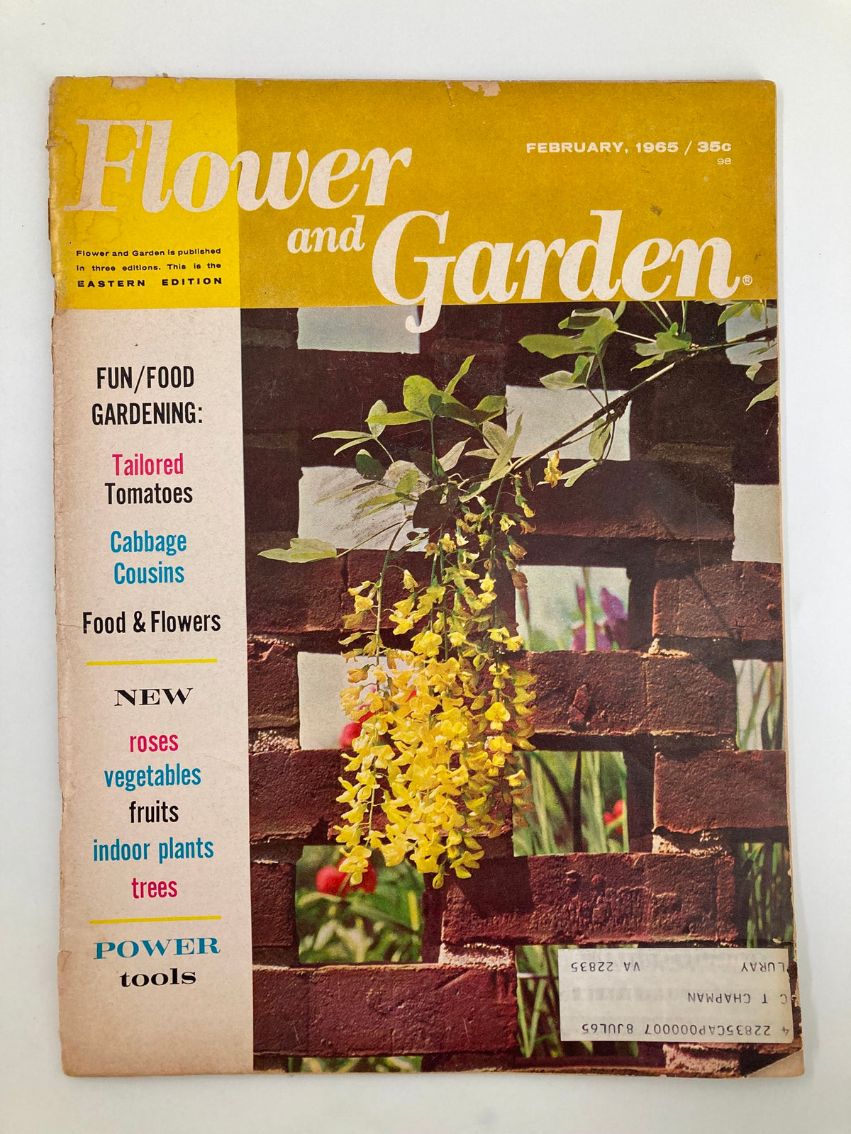 Cover of the VTG Flower and Garden Magazine February 1965 featuring the Golden-Chain Tree (Laburnum Watereri) with a colorful design, showcasing gardening topics.