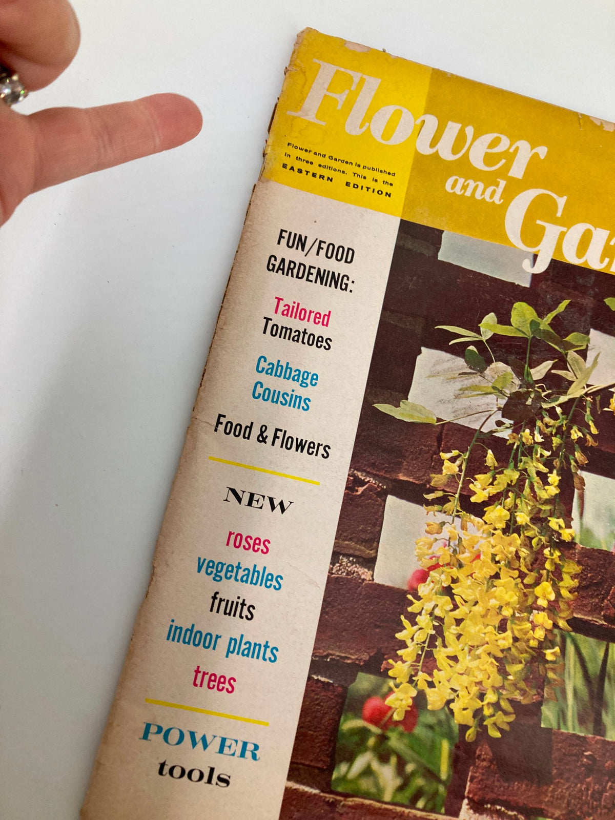 Close-up of the cover of VTG Flower and Garden Magazine February 1965, highlighting the Golden-Chain Tree (Laburnum Watereri) and various gardening themes with vibrant text.