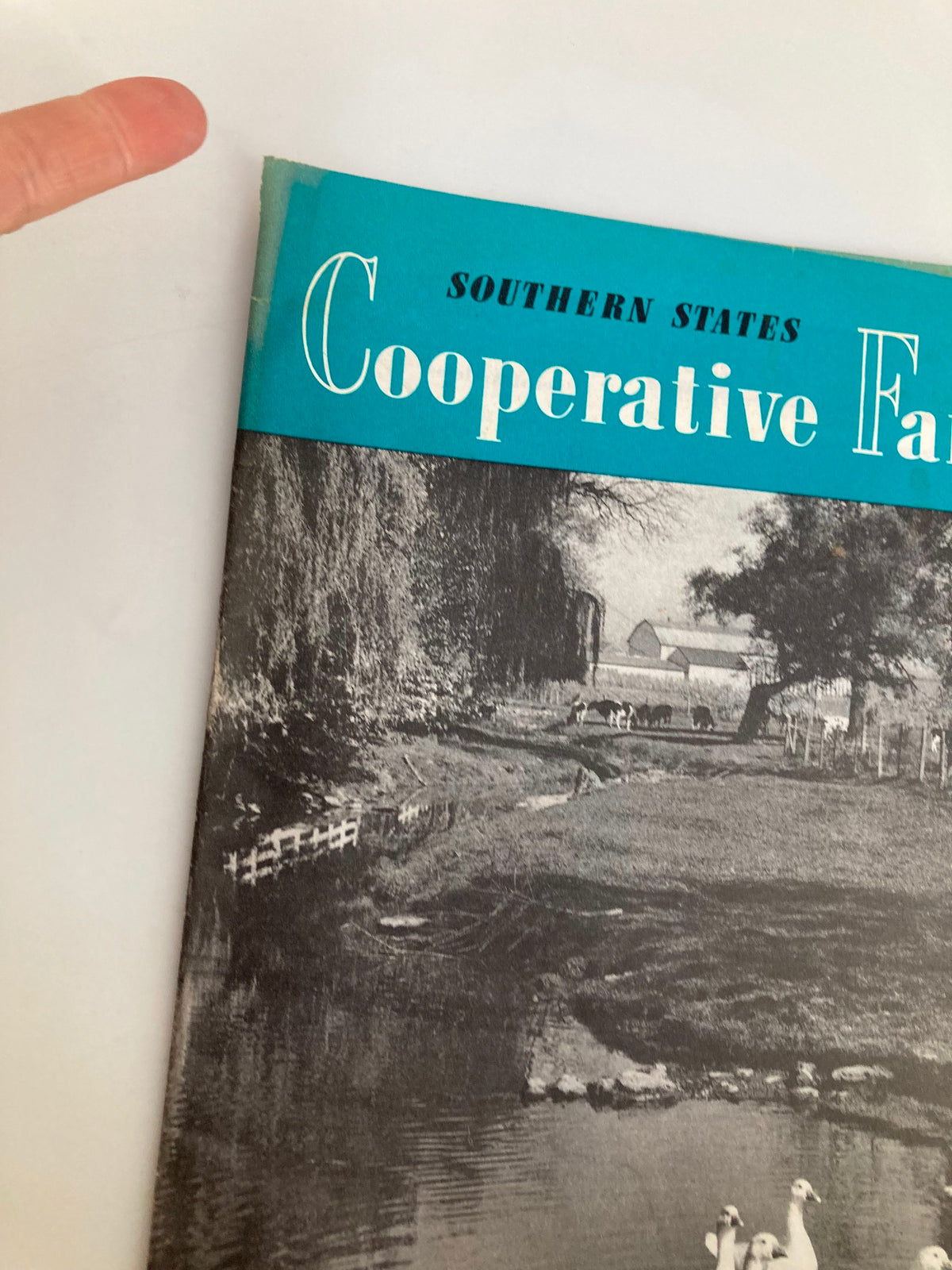 Close-up view of the cover of the VTG Southern States Cooperative Farmer magazine from October 1954, showcasing the title prominently. The image captures a peaceful rural landscape with ducks and farm elements.