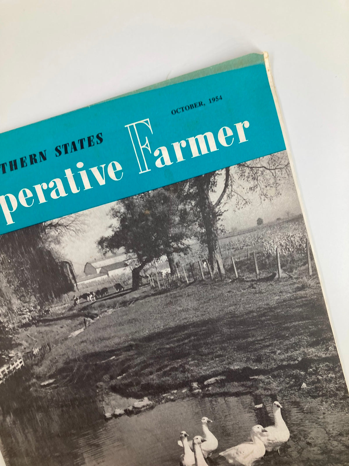 Cover of the VTG Southern States Cooperative Farmer magazine from October 1954 featuring a rural landscape with a pond and ducks, highlighting the theme 'Better Feed Through Research'.