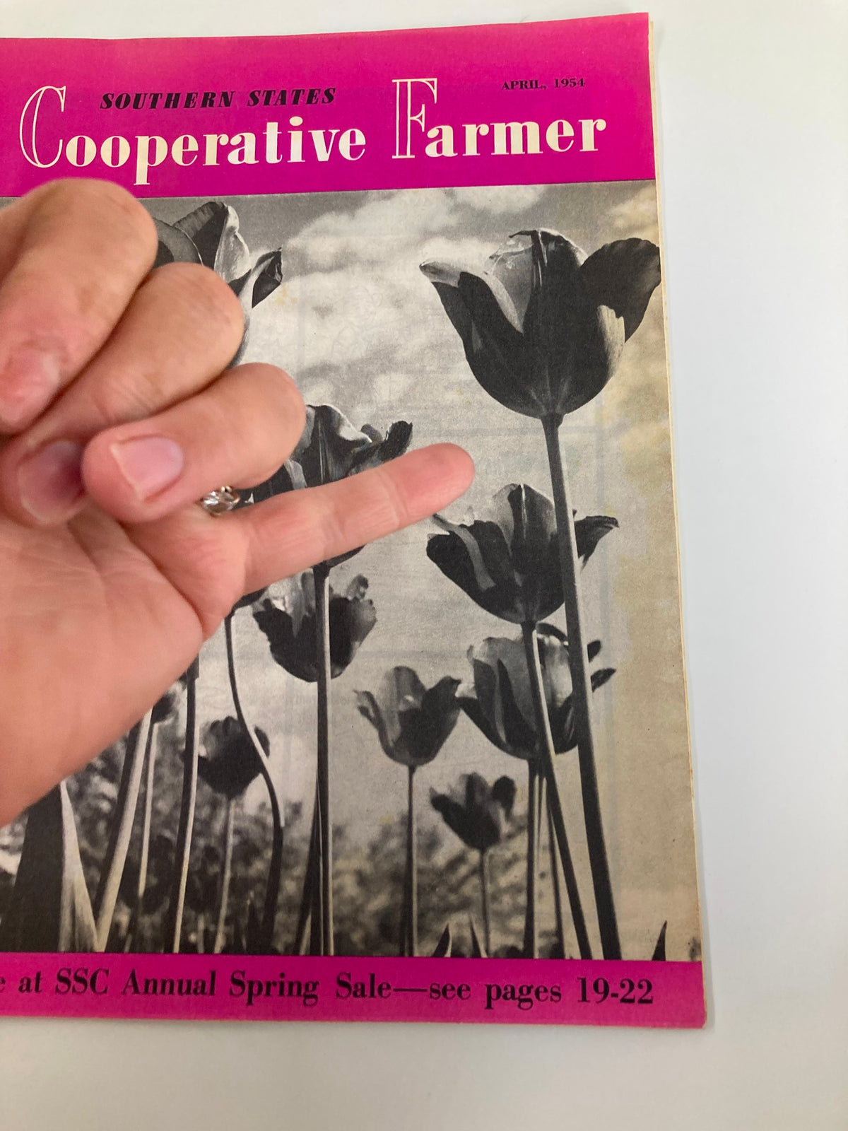 Cover of Southern States Cooperative Farmer April 1954 magazine featuring tulips and sale information.