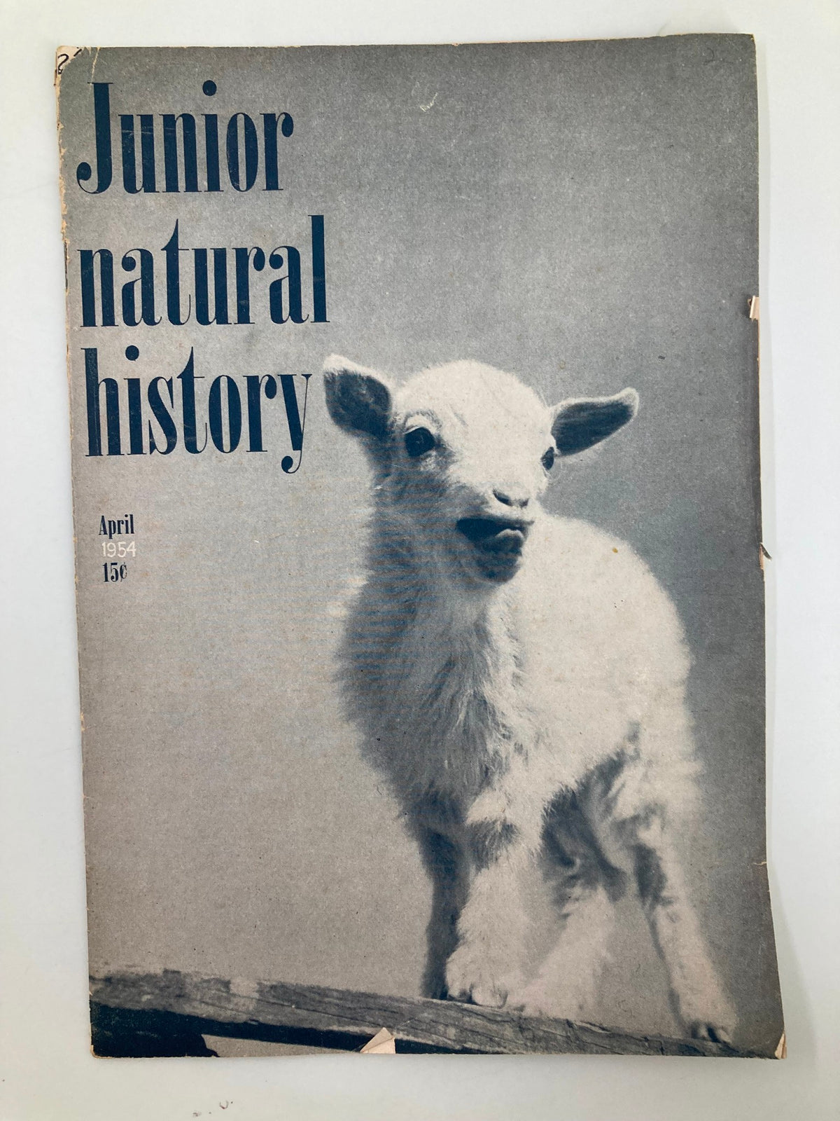 VTG Junior Natural History Magazine April 1954 featuring a baby goat on the cover, showcasing vintage educational themes.