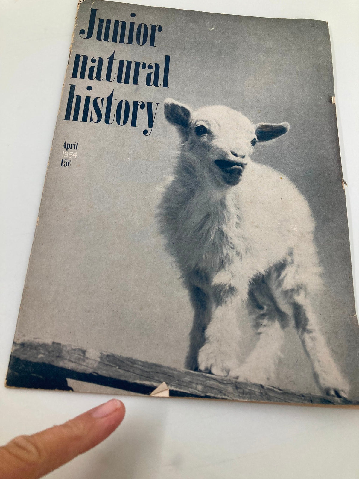 Cover of the VTG Junior Natural History Magazine from April 1954 featuring a goat, exploring themes of nature and family.