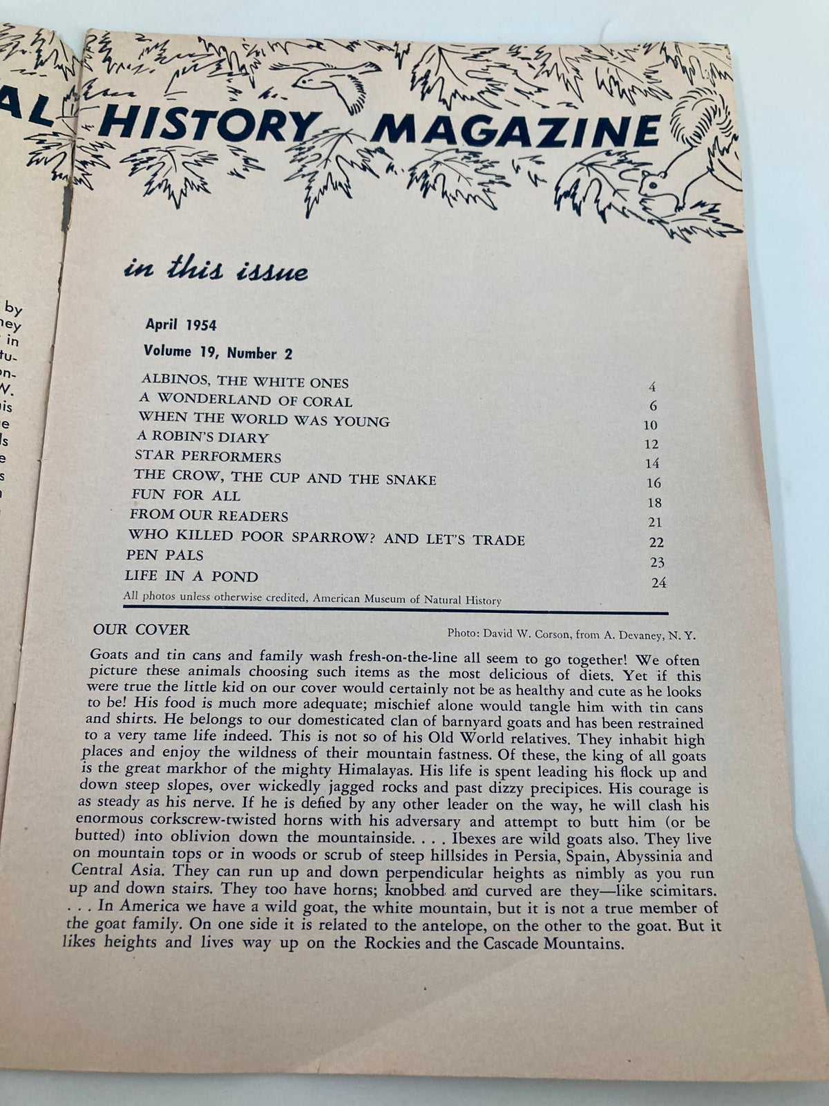 Contents page of the April 1954 VTG Junior Natural History Magazine, detailing articles about nature, including 'A Wonderful Land of Coral' and 'Life in a Pond'.