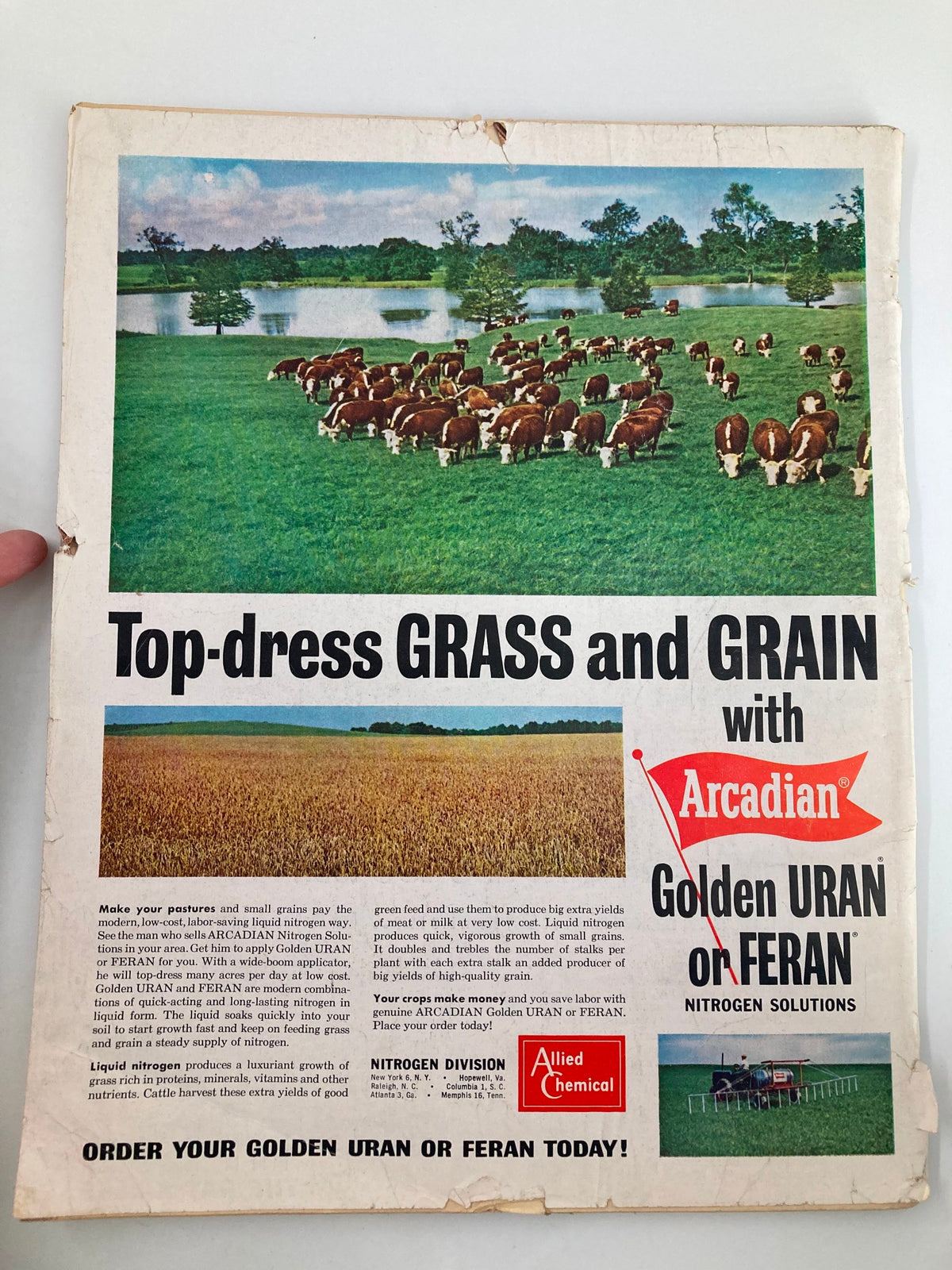 Back cover of The Progressive Farmer Magazine January 1964 featuring an advertisement for Arcadian nitrogen solutions in a picturesque rural setting with grazing cattle and agricultural fields.