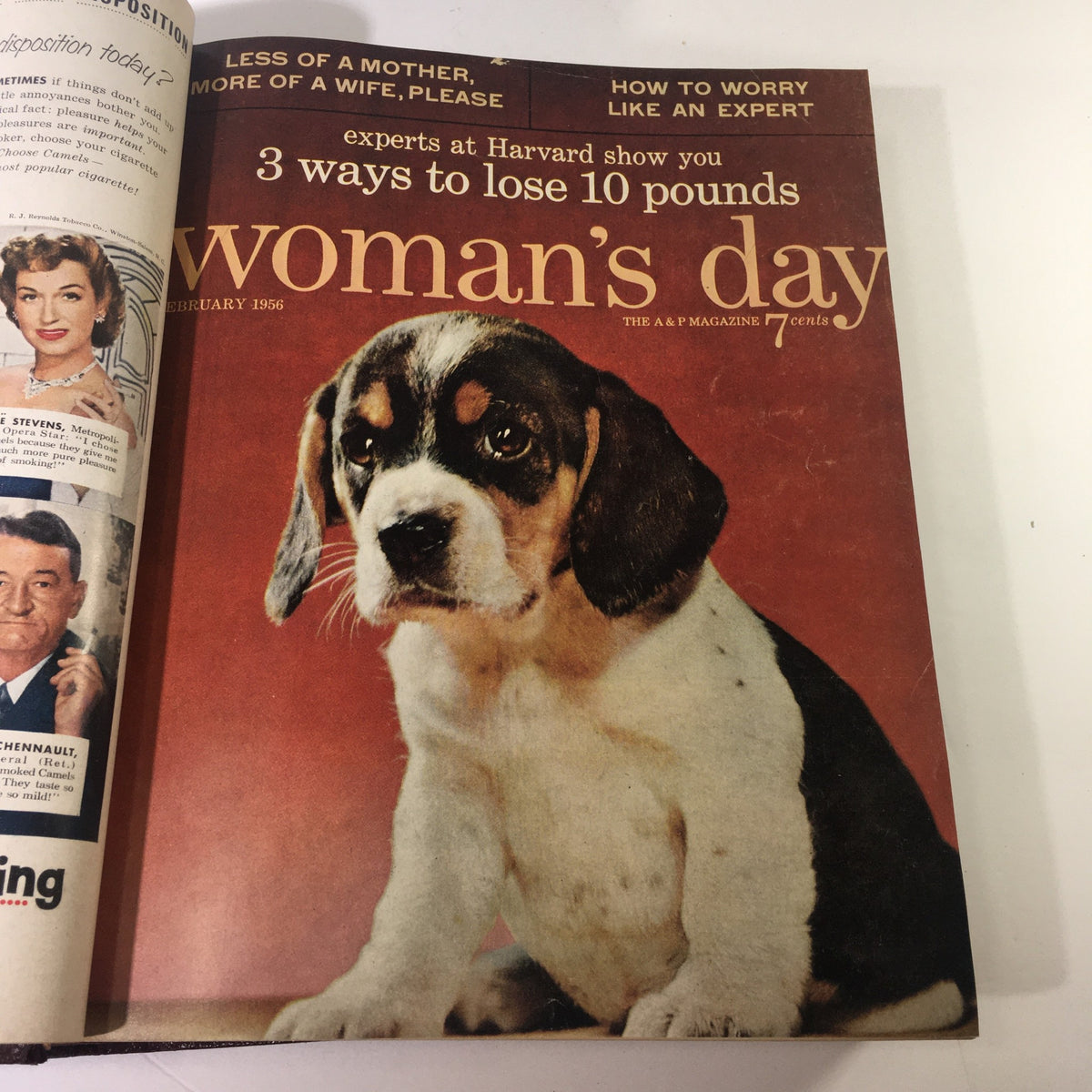 February 1956 cover of the Woman's Day Magazine Complete Year Round in One Book Compilation, showcasing a beagle puppy and articles about diet and lifestyle.