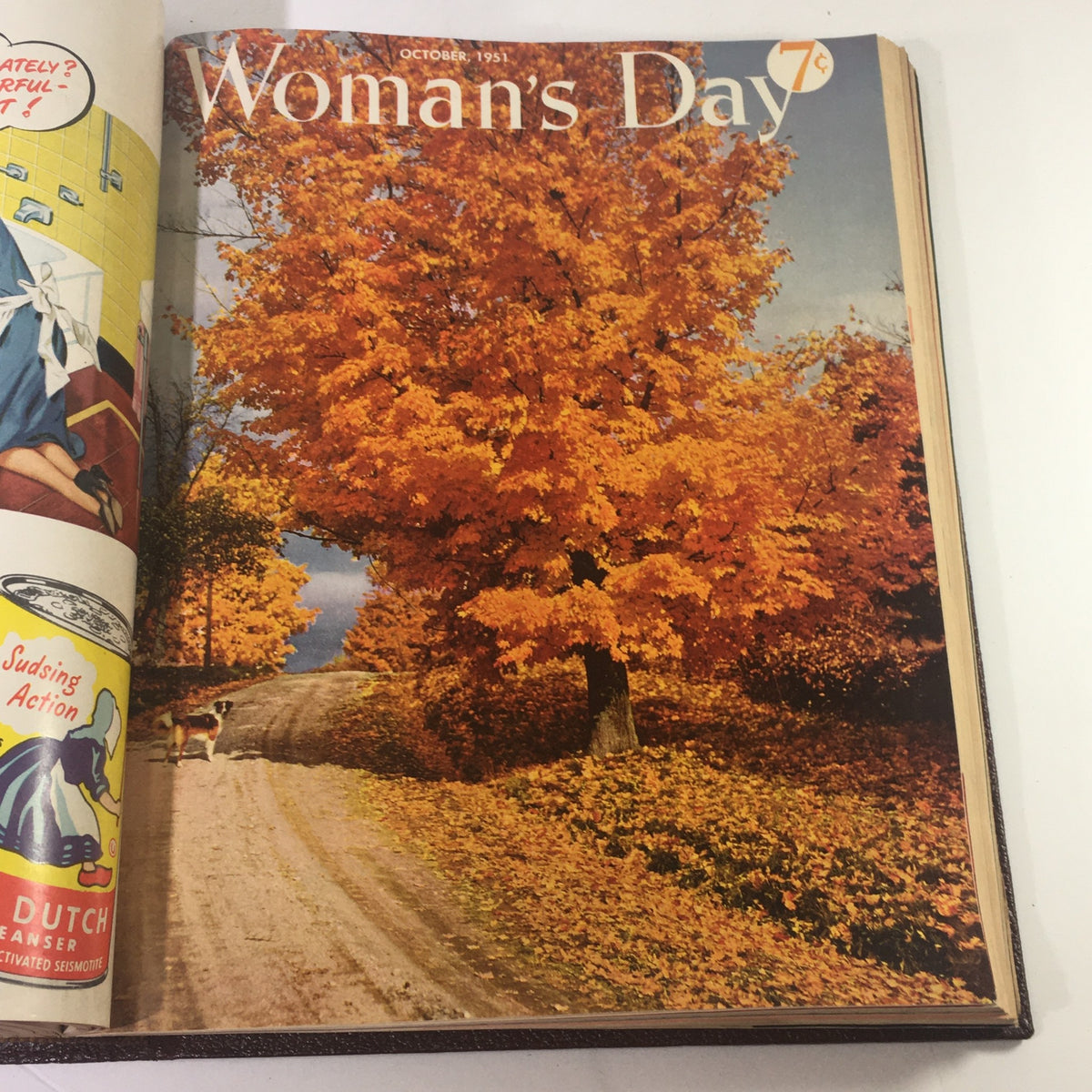 Cover of October 1951 Woman's Day Magazine highlighting vibrant autumn trees along a serene road.