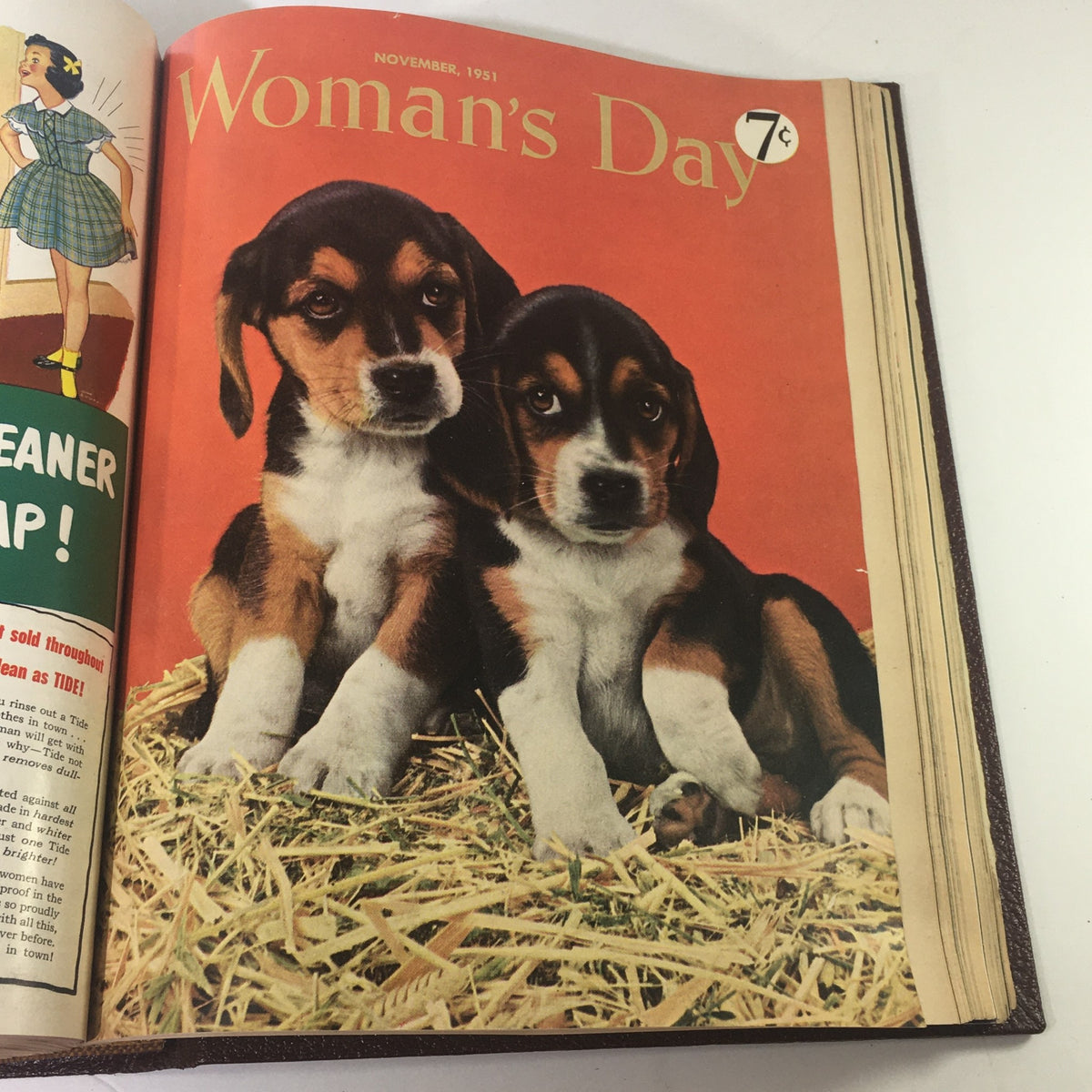 Cover of November 1951 Woman's Day Magazine featuring adorable beagle puppies on a straw bed, capturing the essence of vintage pet photography.