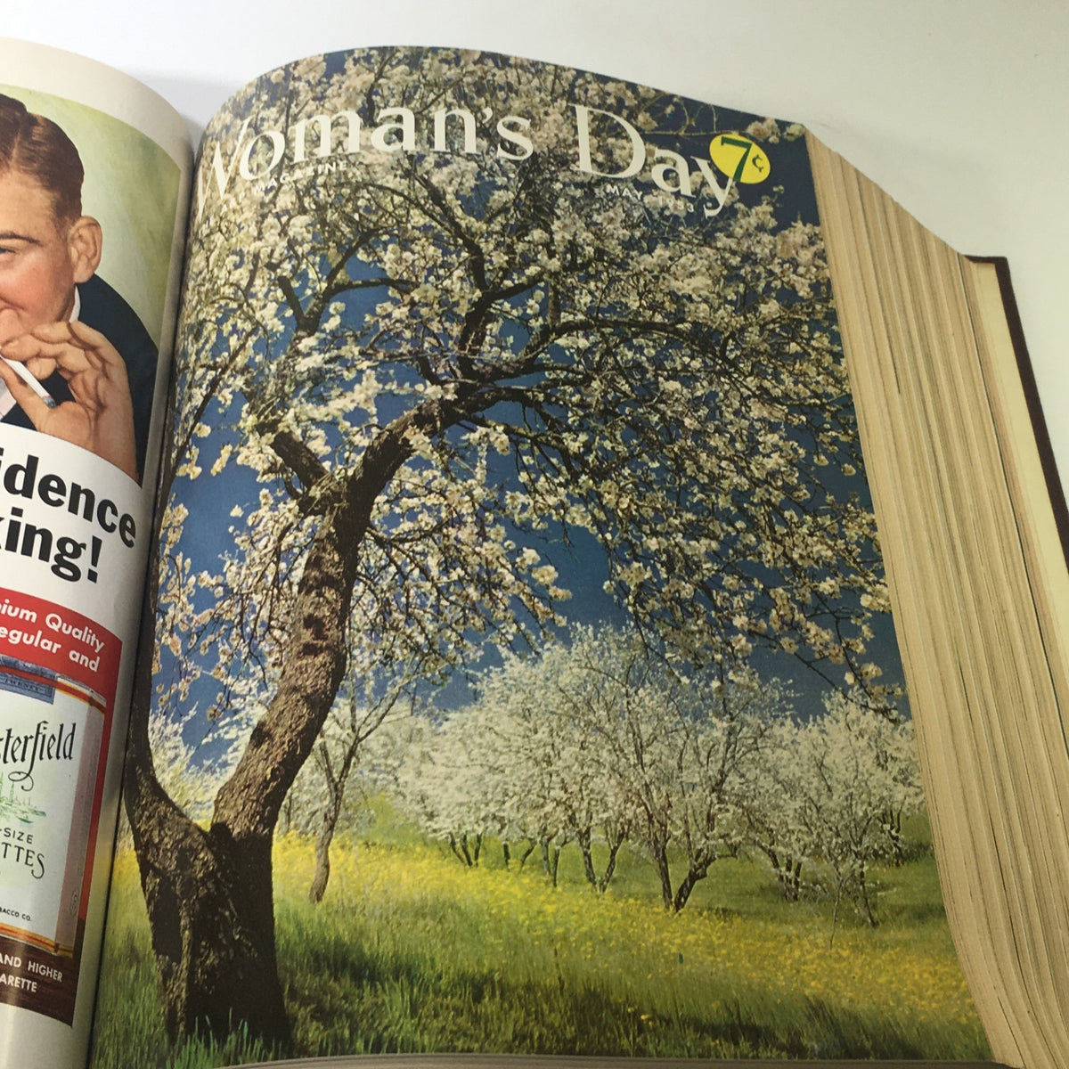 Cover of May 1953 Woman's Day magazine showcasing a picturesque scene of blossoming trees in a spring setting.