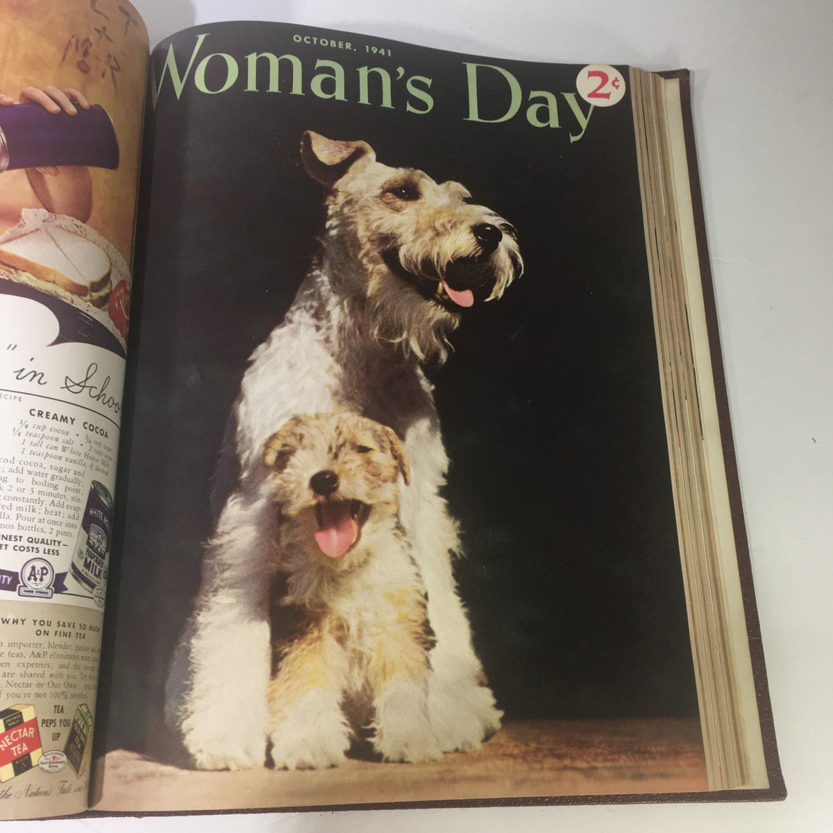 1941 Woman's Day Magazine Compilation featuring an adorable canine duo on the cover, capturing the joy of pets and companionship in October 1941.