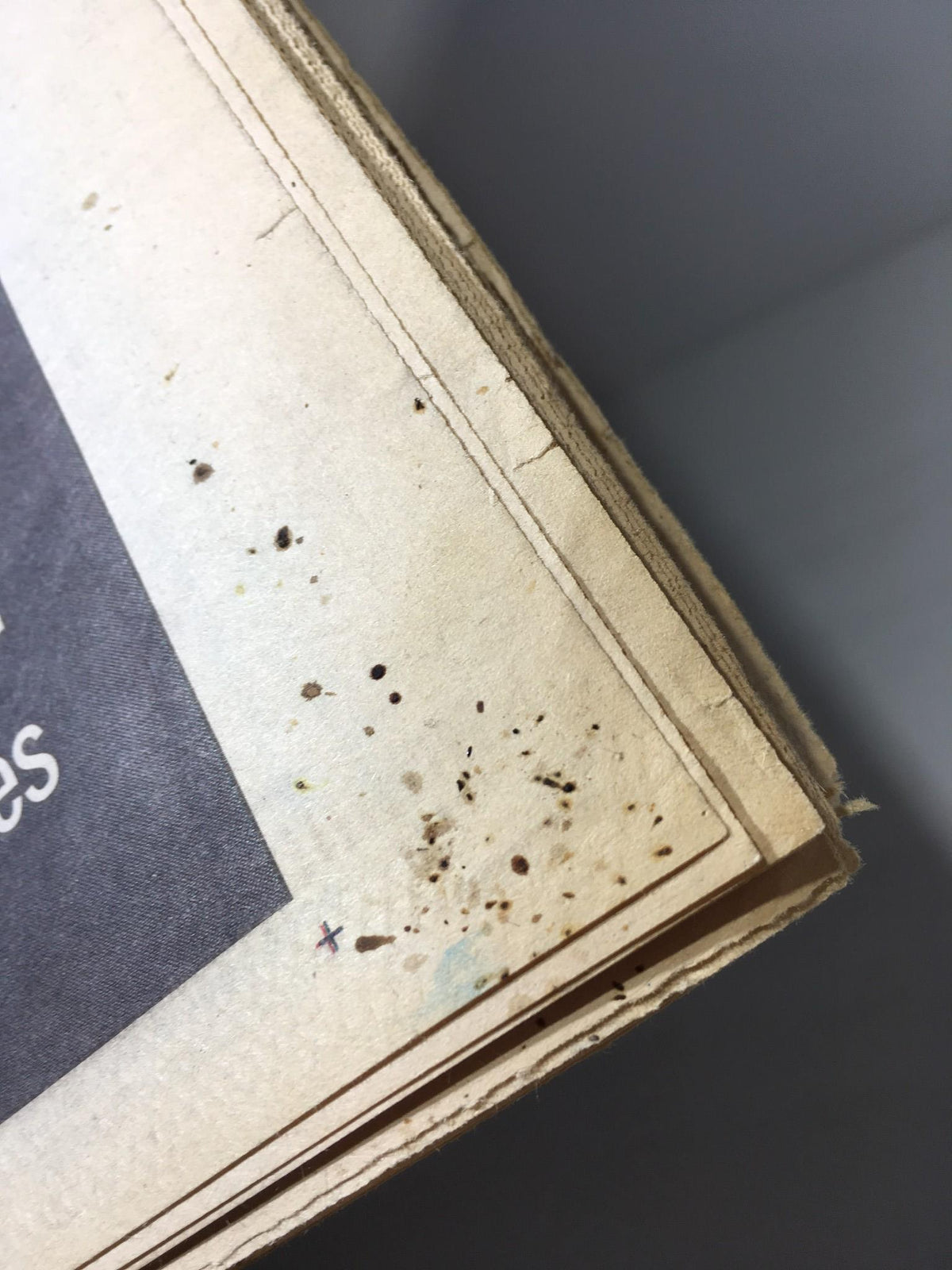 Detail view of the edge of the New York Daily News, showing slight wear and dirt marks, dated November 11, 2008.