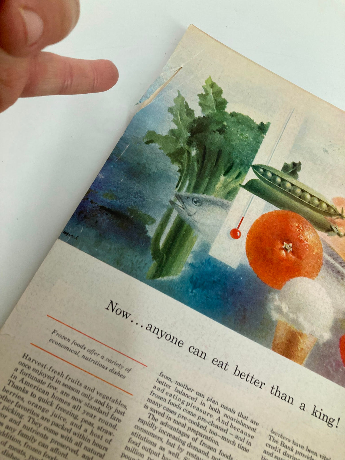 Interior page of US News & World Report Magazine from May 2, 1958, showcasing an article about frozen foods with illustrations of vegetables and fruits. The page features a visible tear, reflecting its vintage condition.