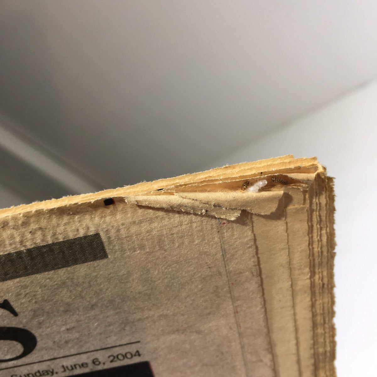 Detail of the edge of the New York Daily News edition from June 6, 2004, highlighting minor wear, showcasing its vintage character.