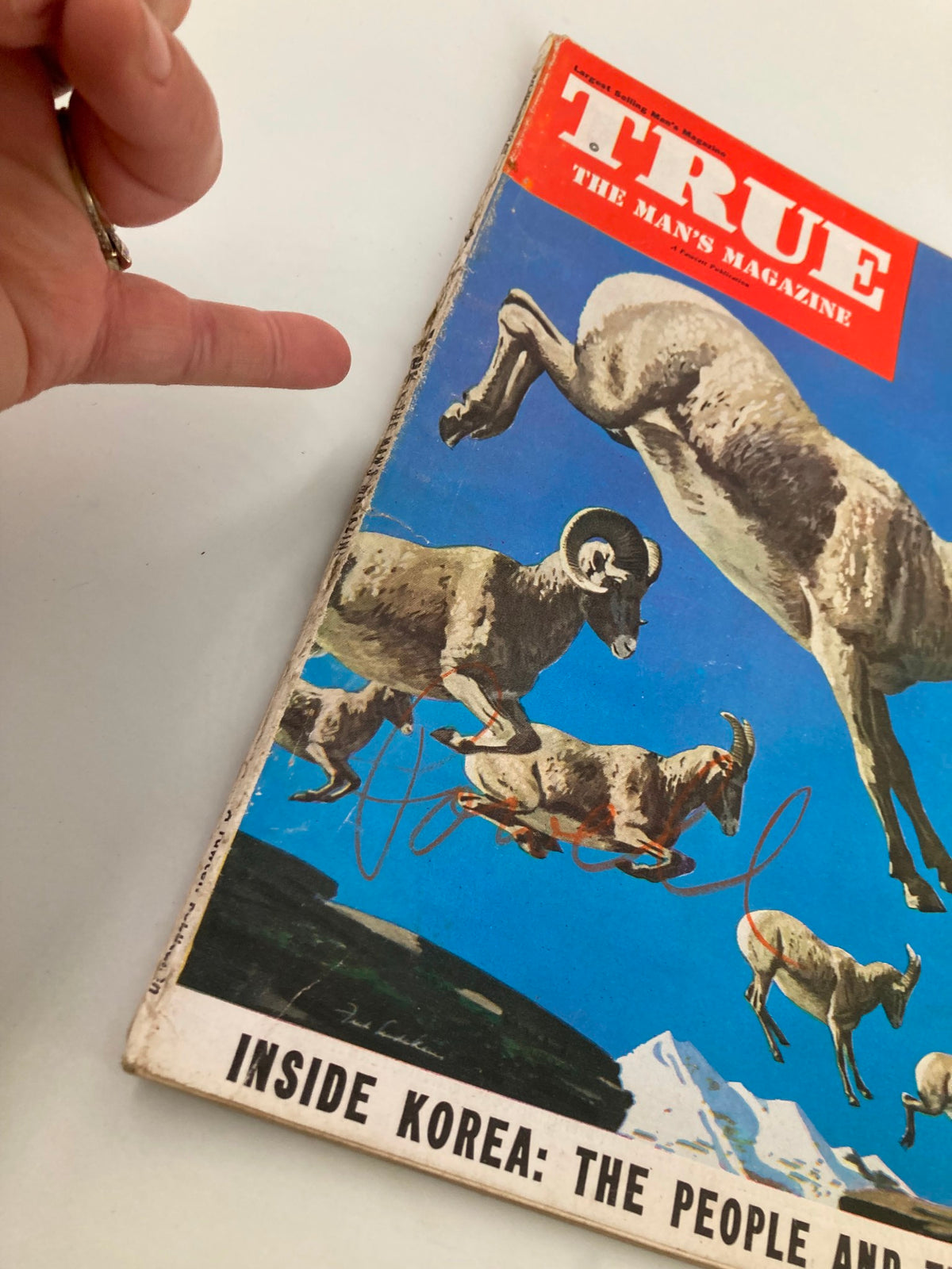 Close-up view of the TRUE The Man's Magazine cover from November 1950, highlighting the signature and leaping sheep illustration, with an emphasis on the magazine's iconic design.