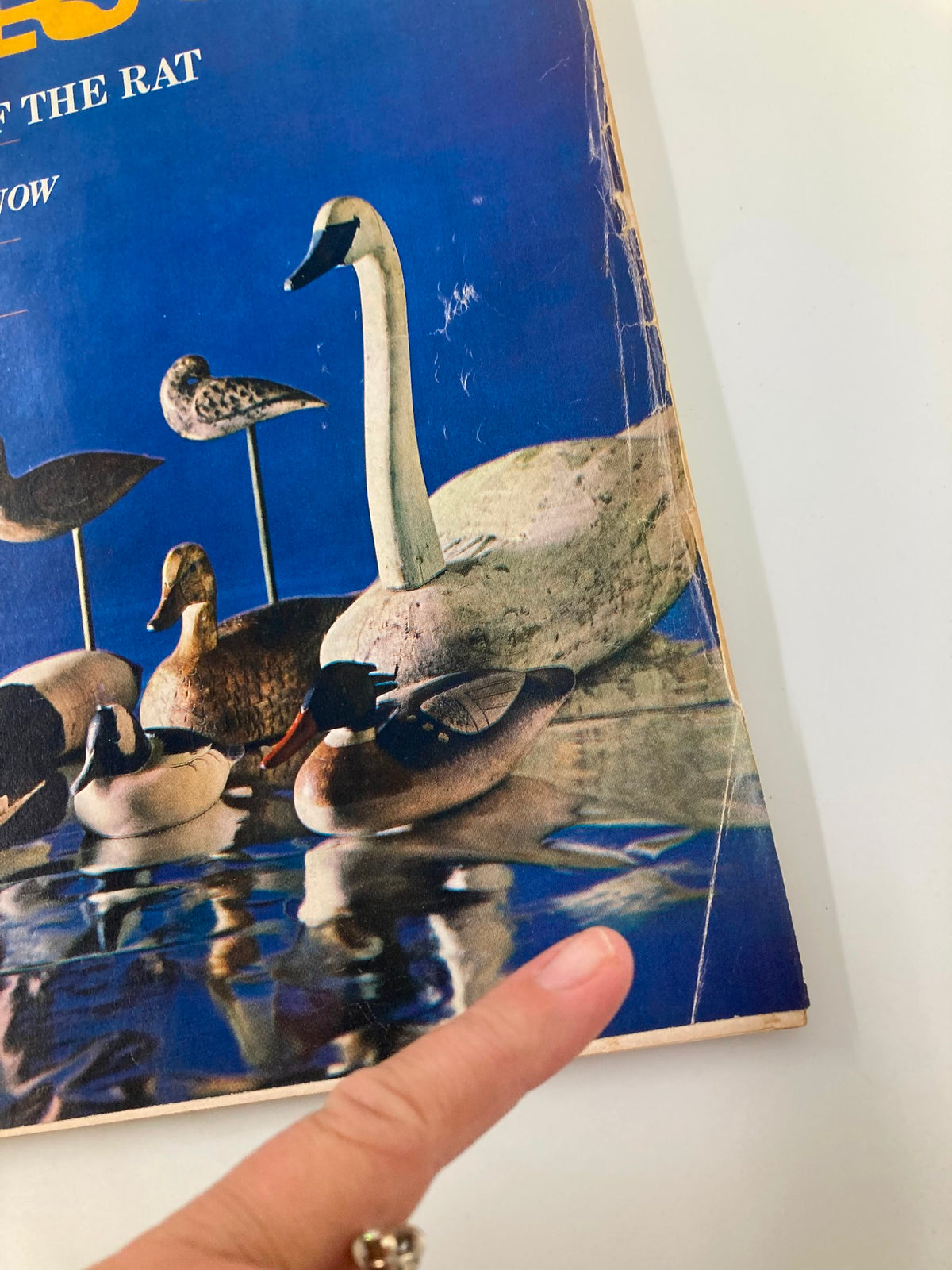Close-up of the TRUE The Man's Magazine November 1964 cover highlighting a prominent decoy, with an emphasis on vintage wear and character.