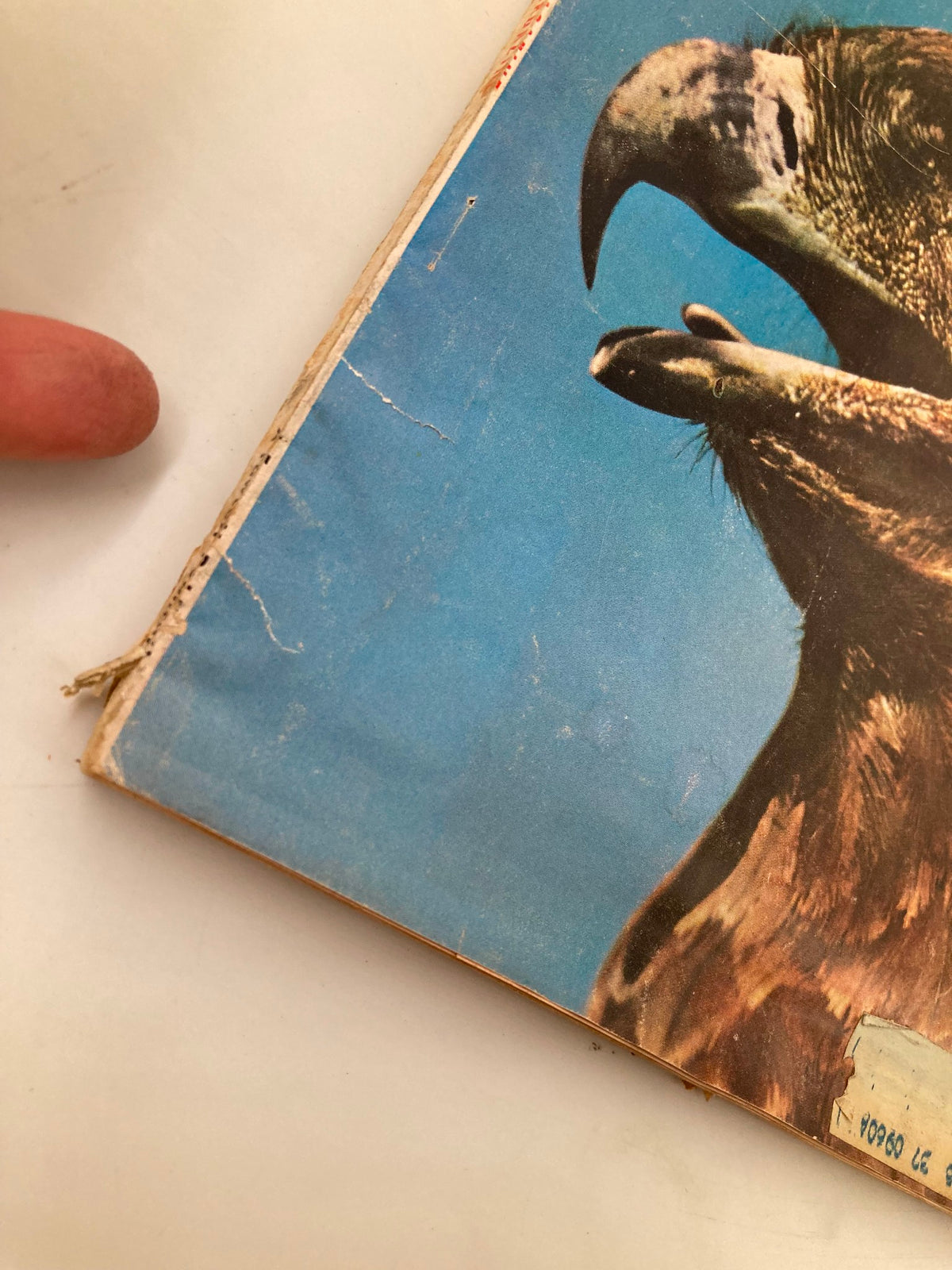 Close-up of the spine of TRUE The Man's Magazine July 1960, showing wear and tear indicative of its vintage condition.