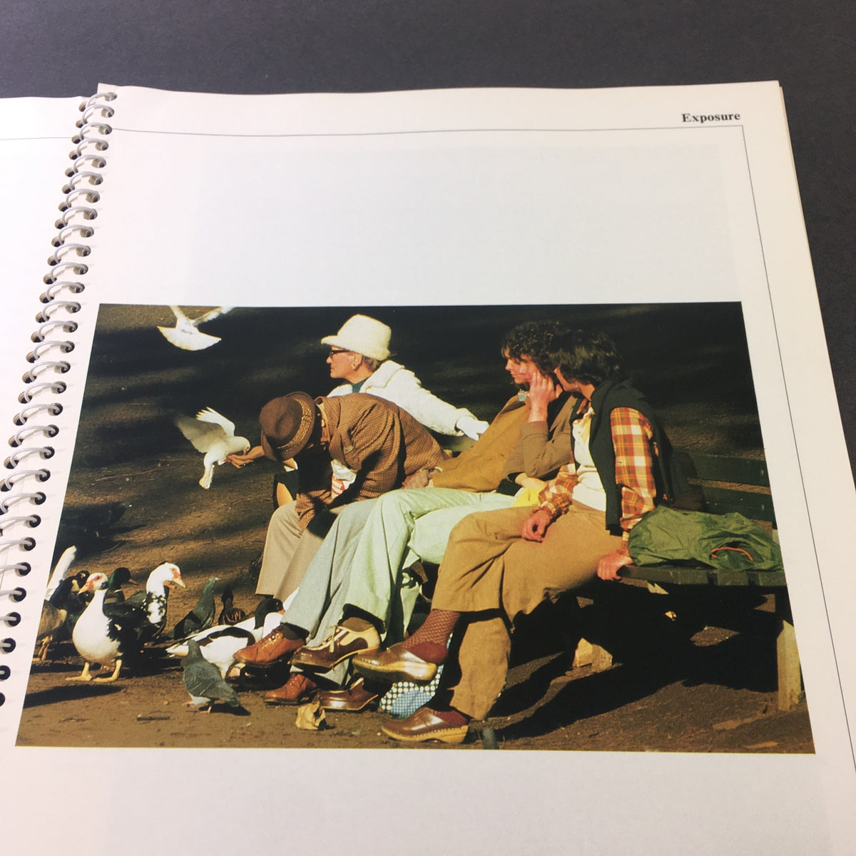 Photographers captured sitting on a bench with birds in a park from '1982 The Camera Step-by-Step Handbook: How To Take Better Pictures', demonstrating candid photography.
