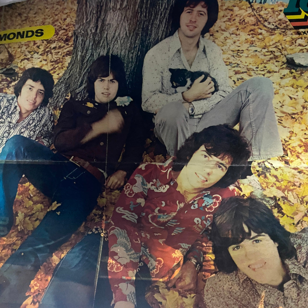 Poster included with VTG 16 Magazine August 1973, featuring five male artists in a fall setting, capturing the retro aesthetic of the early 1970s. The poster provides nostalgia for fans of classic pop culture.
