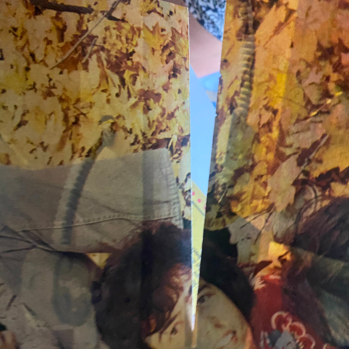 Vintage 16 Magazine August 1973, detailed view of a colorful poster inside featuring autumn leaves and personalities, perfect for collectors.