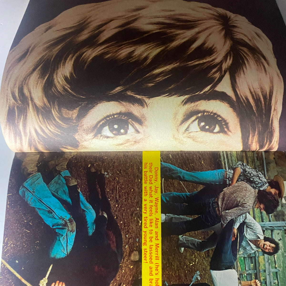 Artistic illustration of an Osmond from VTG 16 Magazine Summer 1973 Vol 1 No. 1, capturing the essence of the pop culture era with unique visuals.