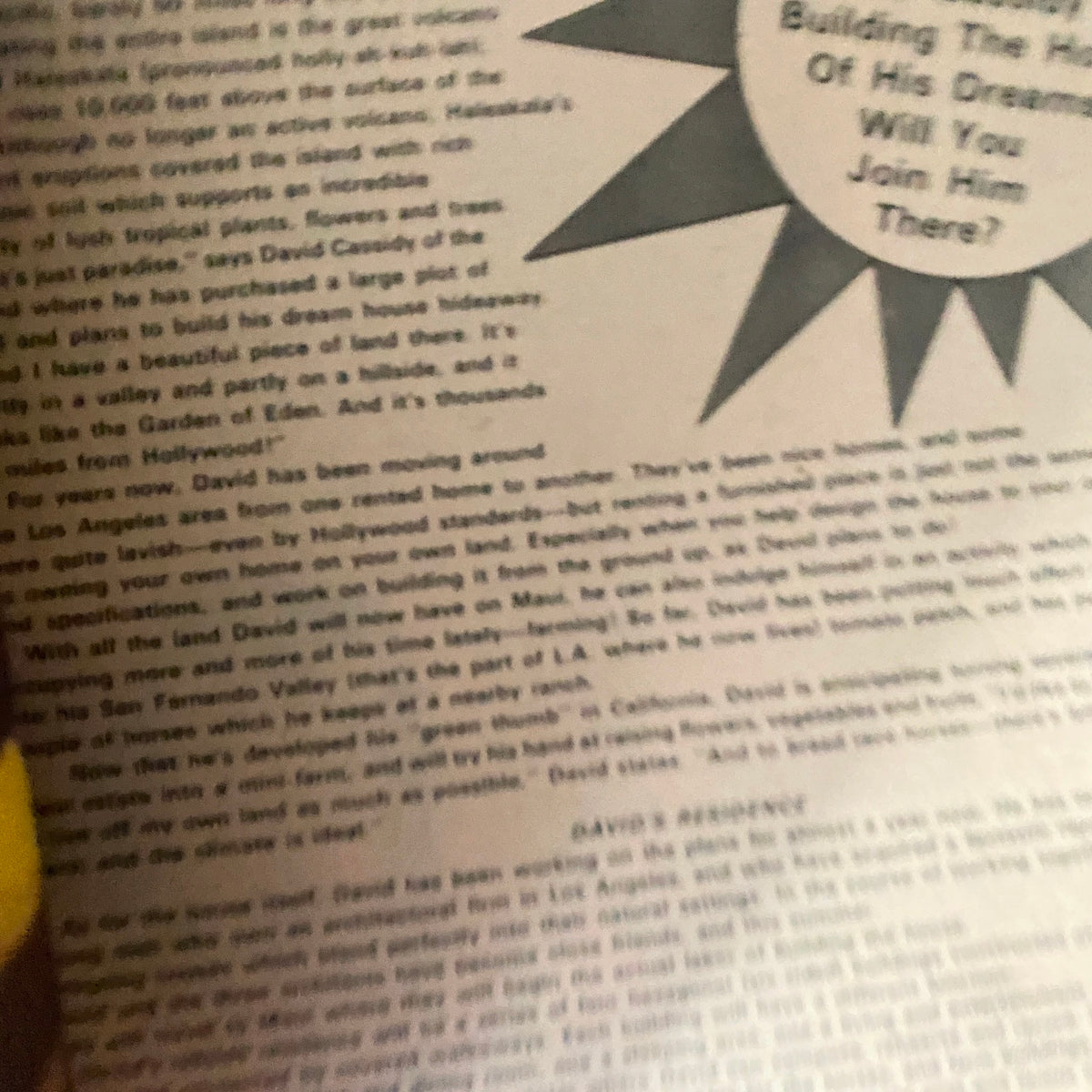 Close-up shot from VTG 16 SPEC Magazine February 1974 showing David Cassidy promoting his Hawaiian hideaway.