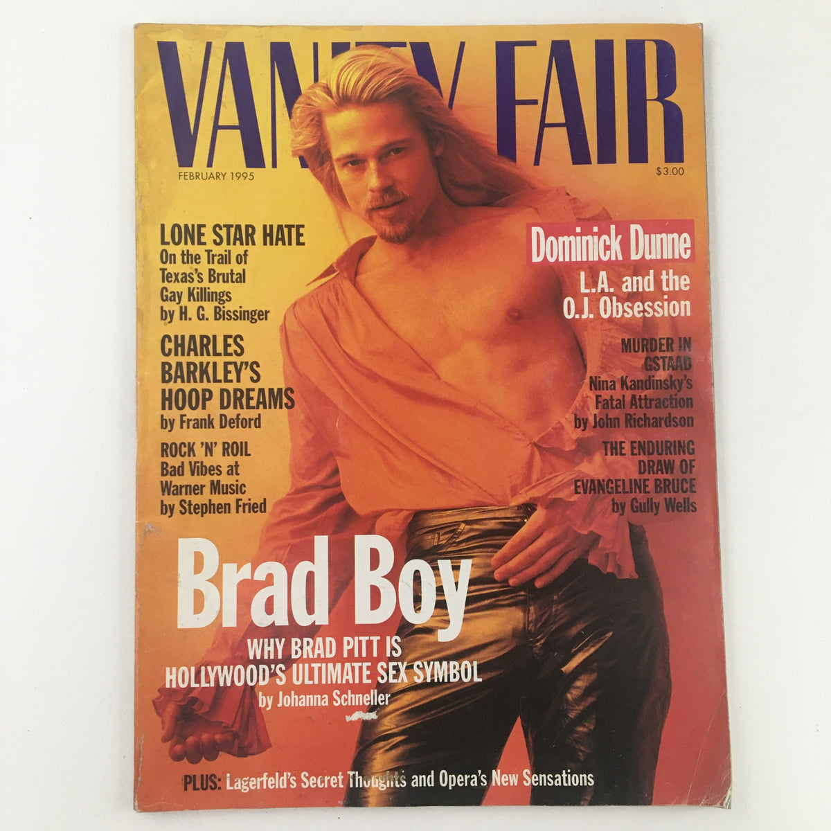Cover of Vanity Fair Magazine from February 1995 featuring Brad Pitt, showcasing his title as Hollywood's ultimate sex symbol. The magazine includes articles on various cultural topics of the 90s.